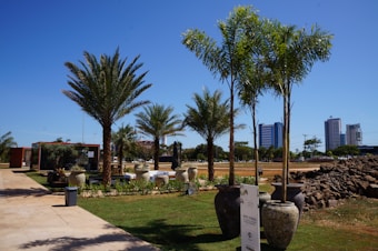 A landscaped garden area with several large palm trees and potted plants. The scene includes a pathway leading past a modern structure with glass walls, and various large pots with plants lining the walkway. Skyscrapers can be seen in the background, indicating an urban setting. Blue sky and daylight suggest a sunny, clear day.
