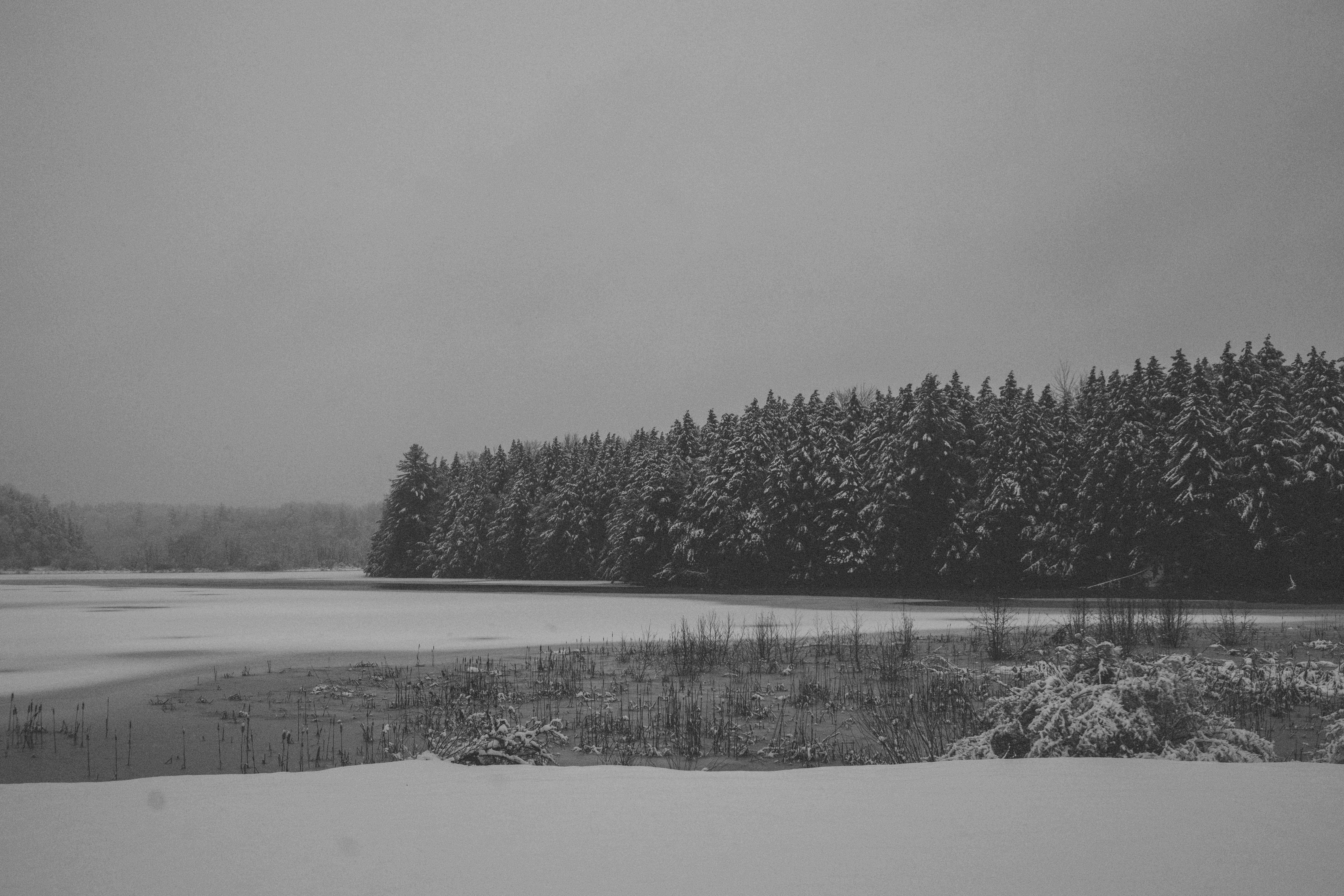 Photo by roberthaverly