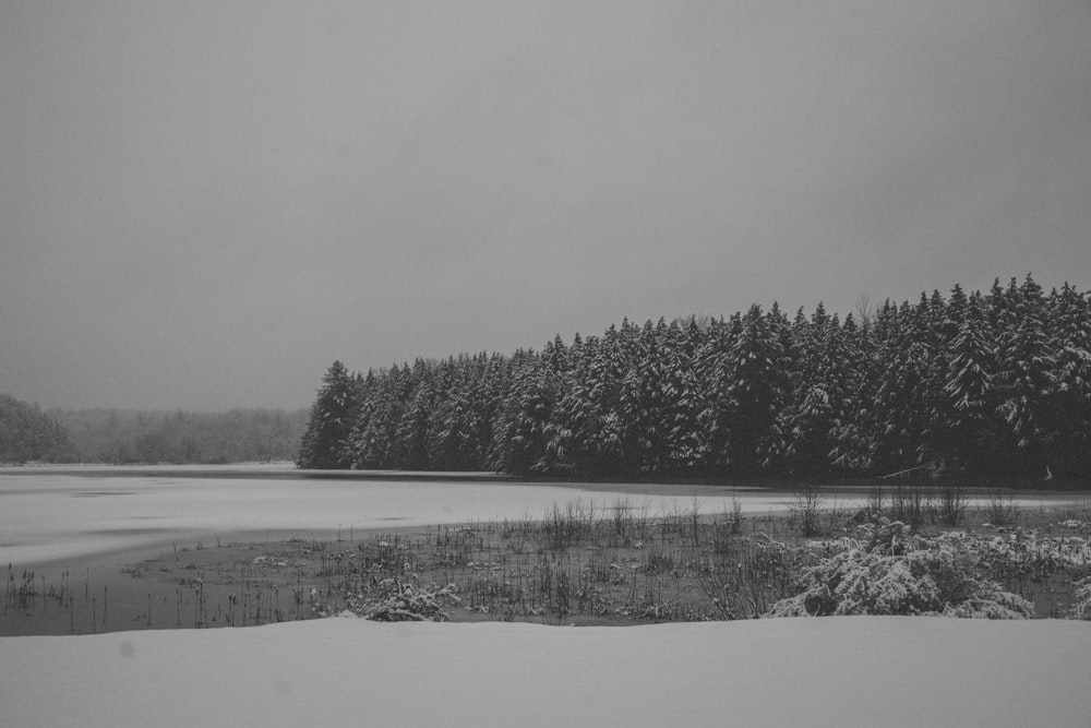 a black and white photo of a snow covered field