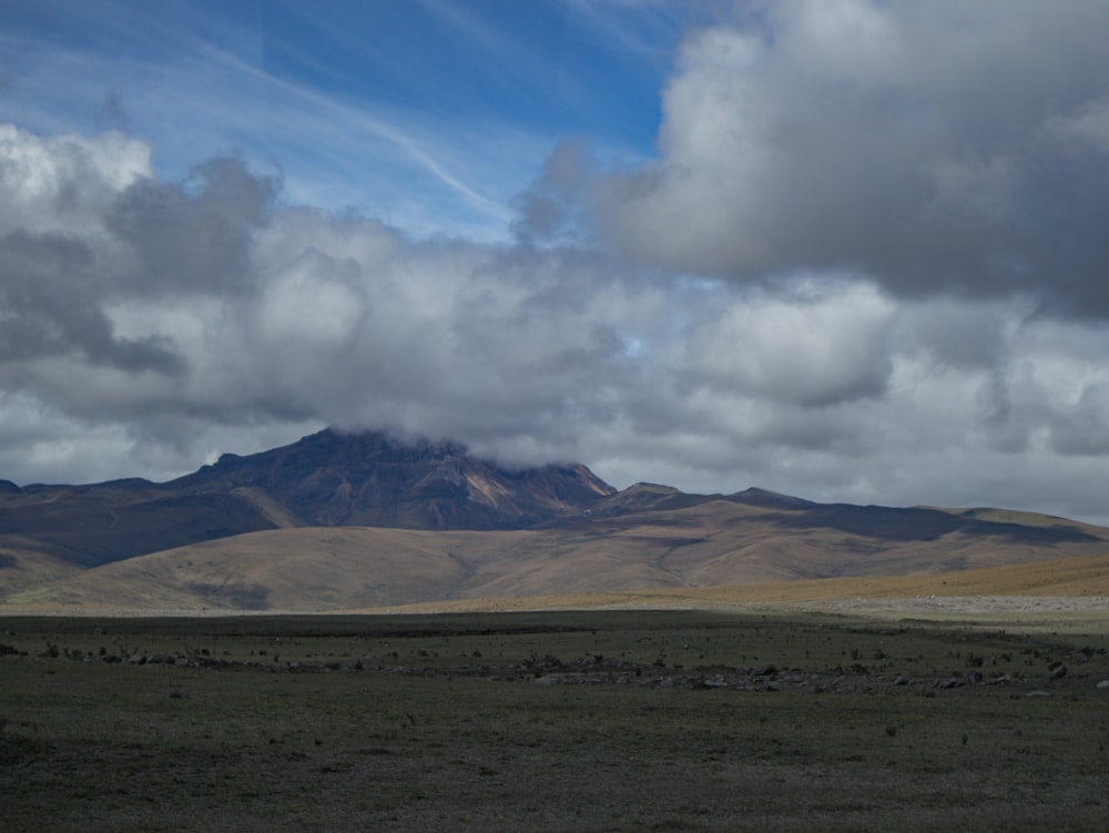 a field with a mountain in the background