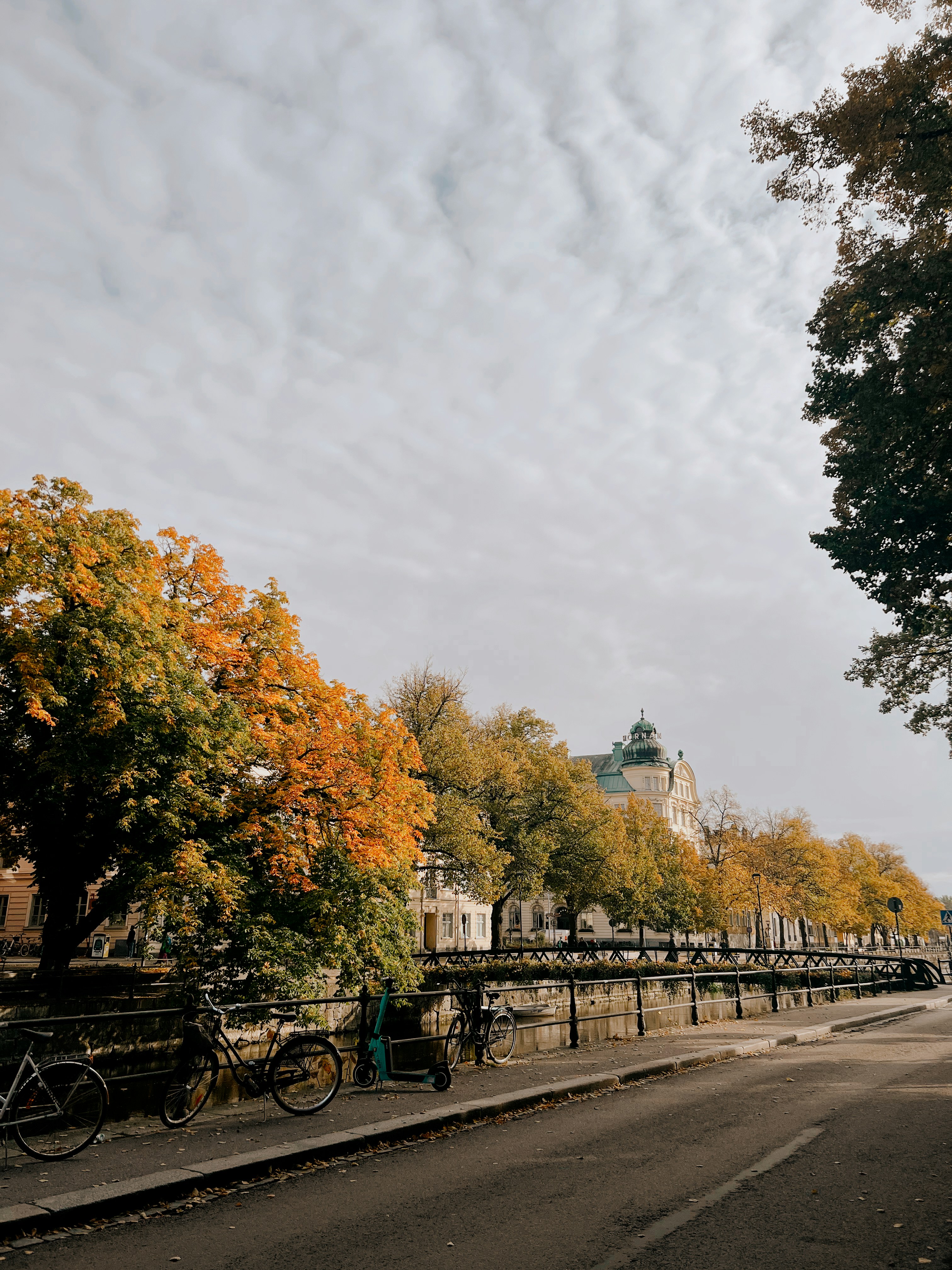 Photo by jacalynbeales