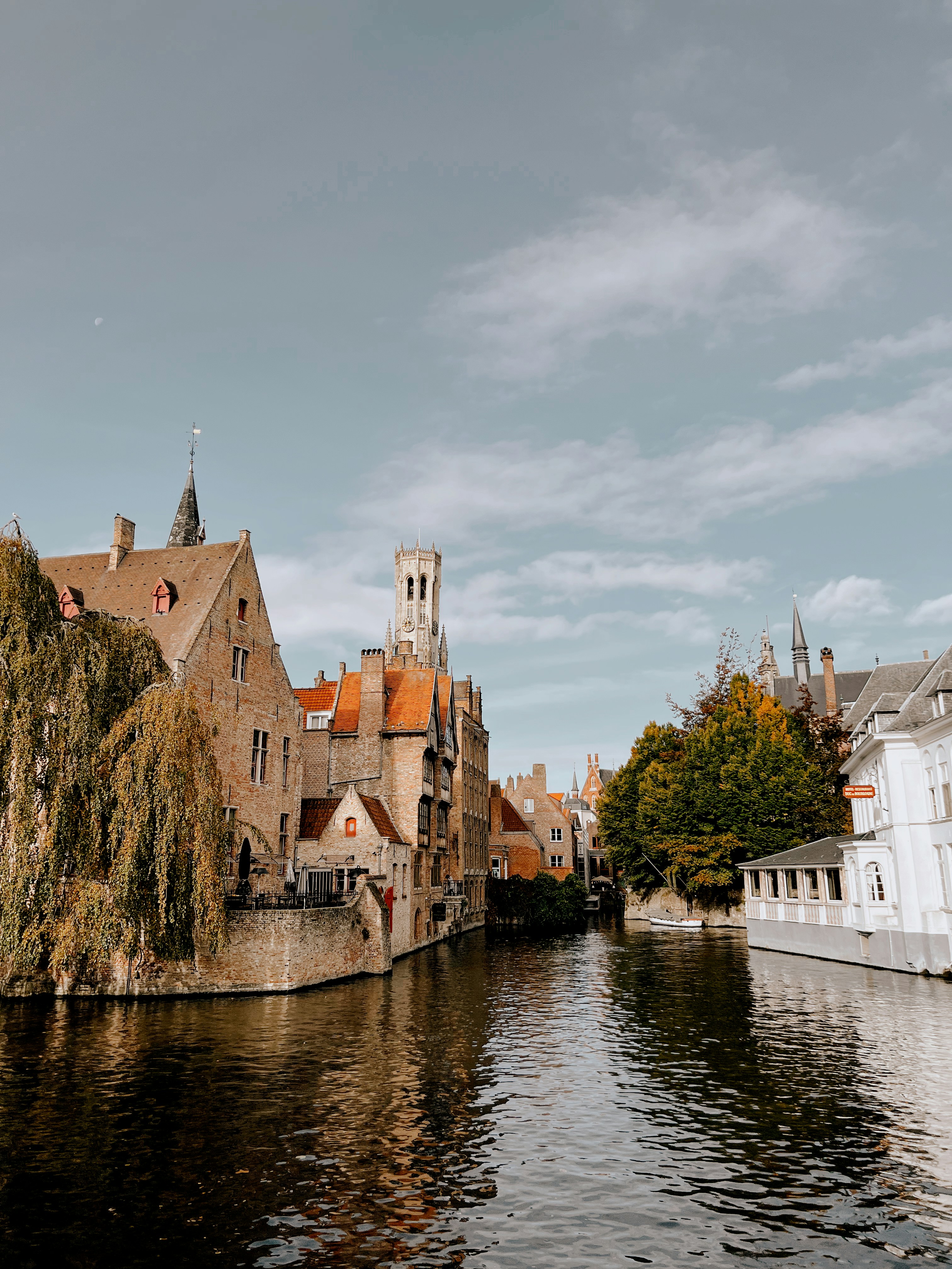 Photo by jacalynbeales