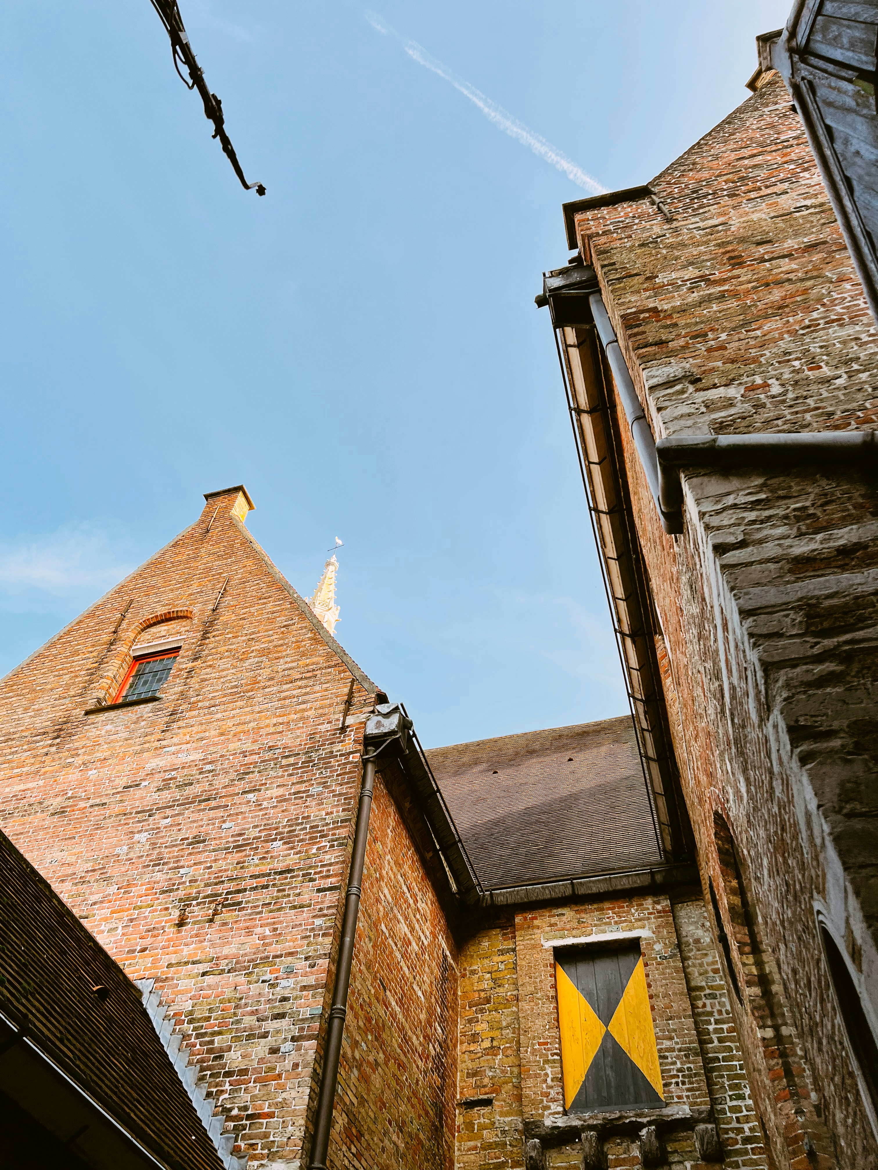 Photo by jacalynbeales