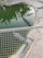 Several crocodiles are partially submerged in a small, greenish pond surrounded by concrete and palm trees can be seen reflected in the water. A metal grid separates the viewer from the enclosure.