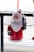 A decorative ornament depicting Santa Claus, featuring a jolly expression, bushy white beard, and traditional red Santa suit. He is holding a small green Christmas tree and is hung by a red ribbon in front of a window, with faint outdoor scenery visible in the background.