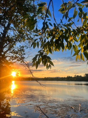 The image captures a serene lake scene during sunset, with vibrant orange and yellow hues reflecting on the calm water. Overhanging branches with lush green leaves frame the scene, adding depth and a natural border. The sky is a blend of blue and orange, dotted with soft clouds, creating a peaceful and picturesque atmosphere.