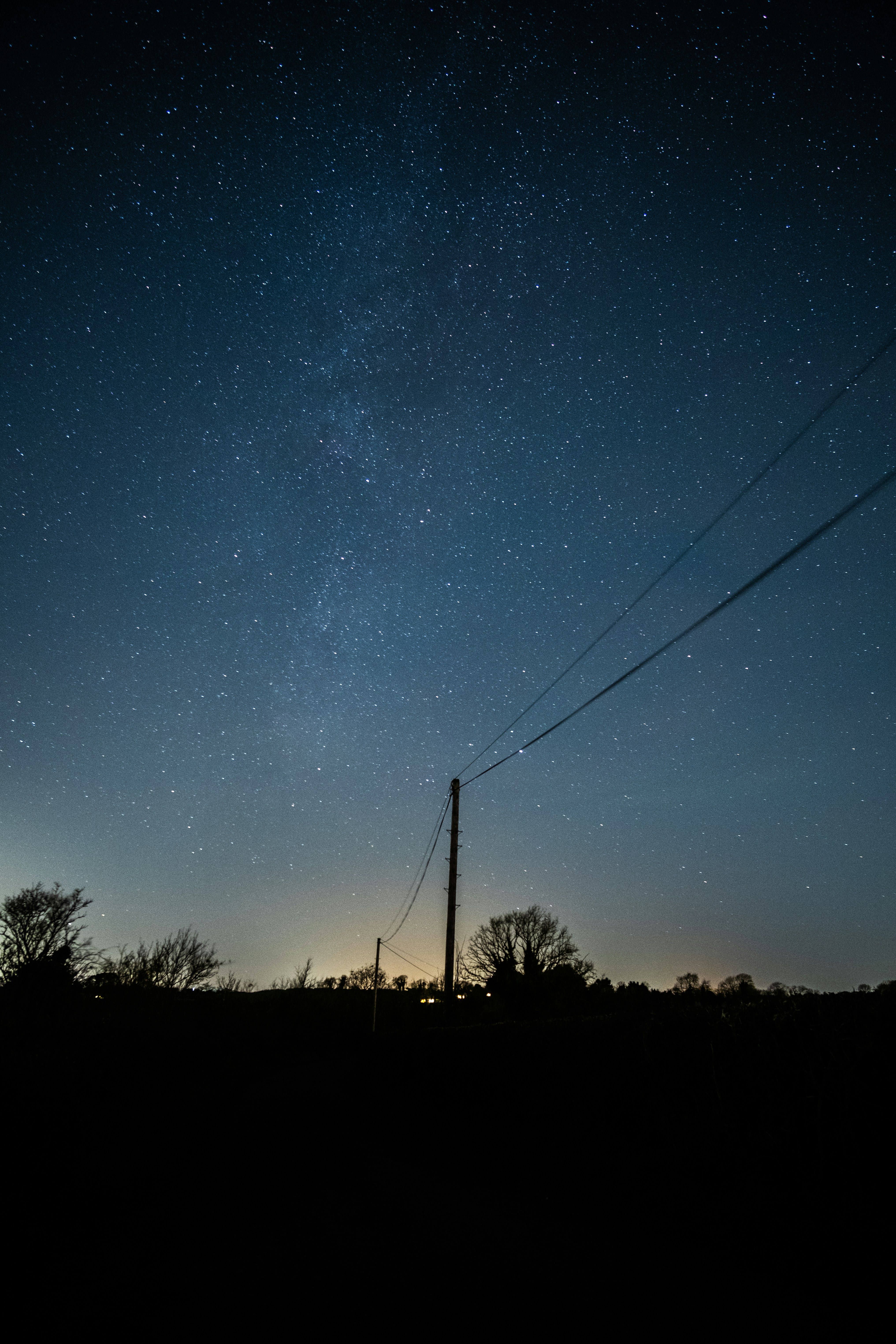 Photo by tamarabadran