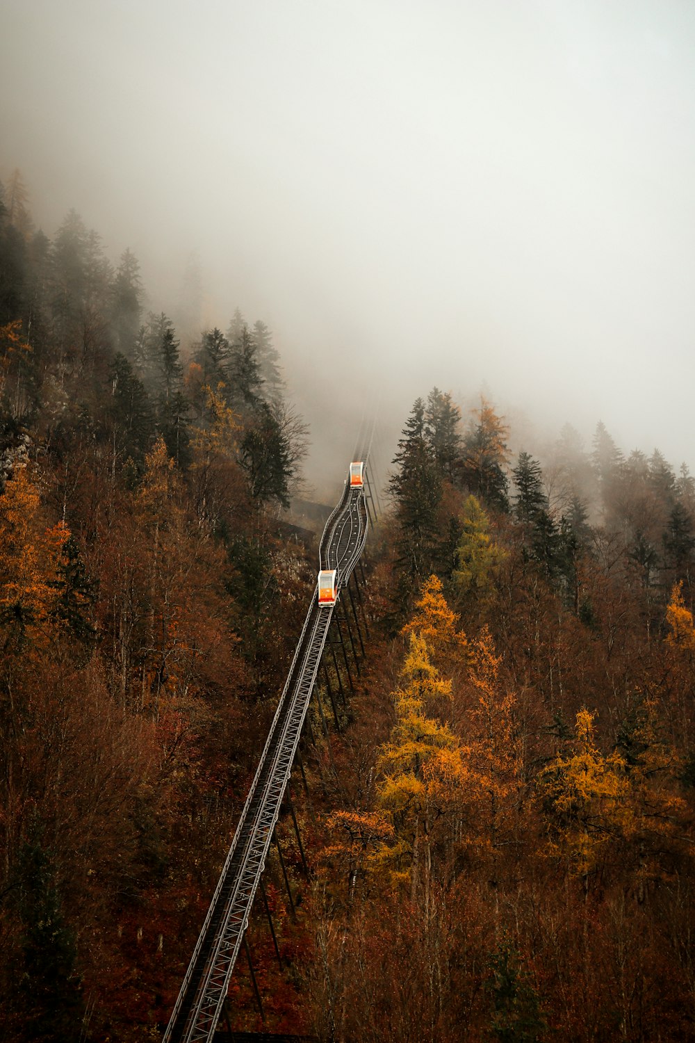 a train traveling through a forest covered in fog