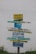A wooden signpost against a plain white wall displays multiple colorful horizontal planks with Portuguese text. Each plank contains different words in varying colors like yellow, blue, and teal. The ground below has small green plants and yellow flowers.