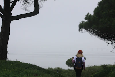 A person with a backpack and a red hat is walking towards a foggy landscape with trees on either side. A faint outline of a bridge is visible in the background through the mist. The scene appears serene and isolated with lush greenery underfoot.