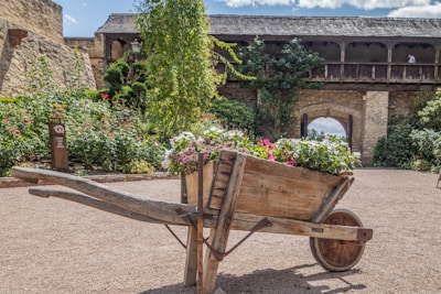 A rustic wooden wheelbarrow filled with freshly picked vegetables.