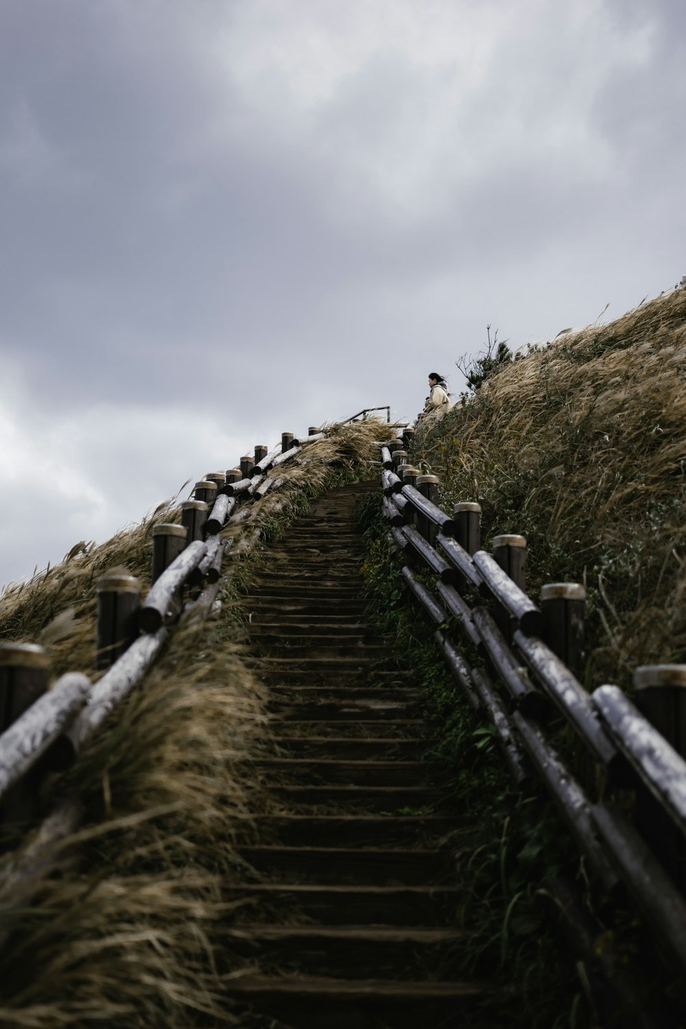 a group of birds sitting on top of a set of stairs