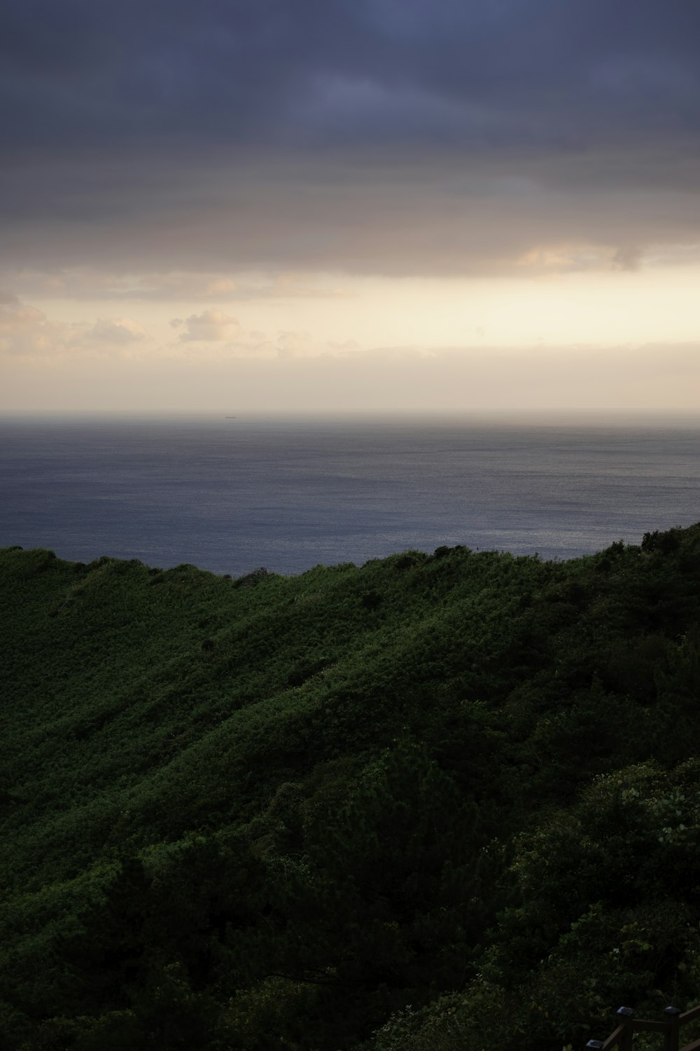 a bench sitting on top of a lush green hillside