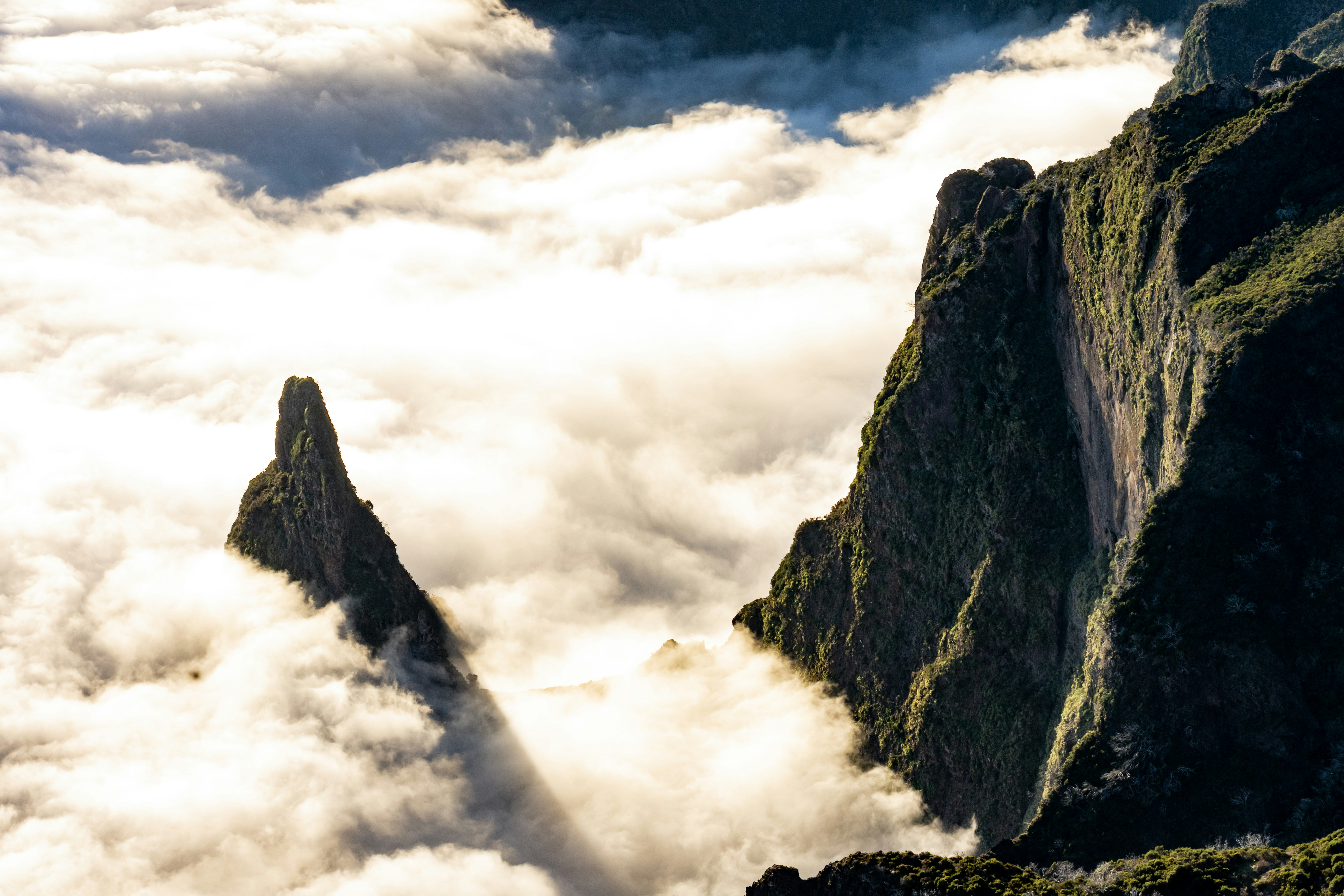 Azores (Pico Island), Portugal - Detail from the top of Pico Ruvio at sunset.