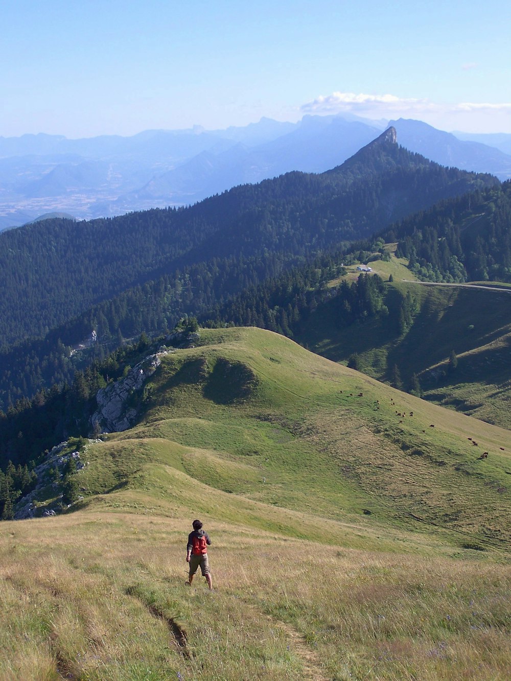 a person hiking up a grassy hill with mountains in the background