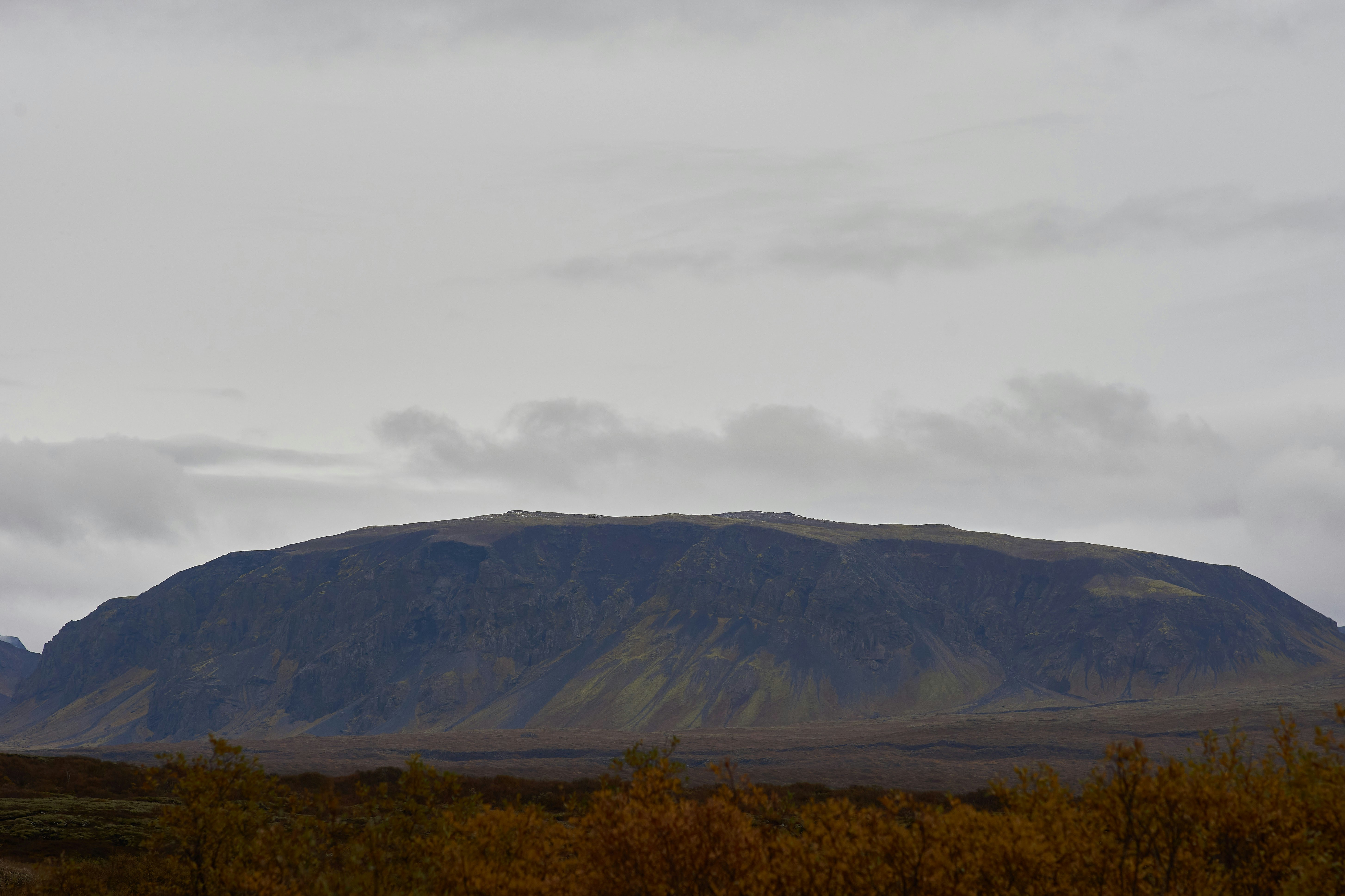 Photo by wolfgang_hasselmann