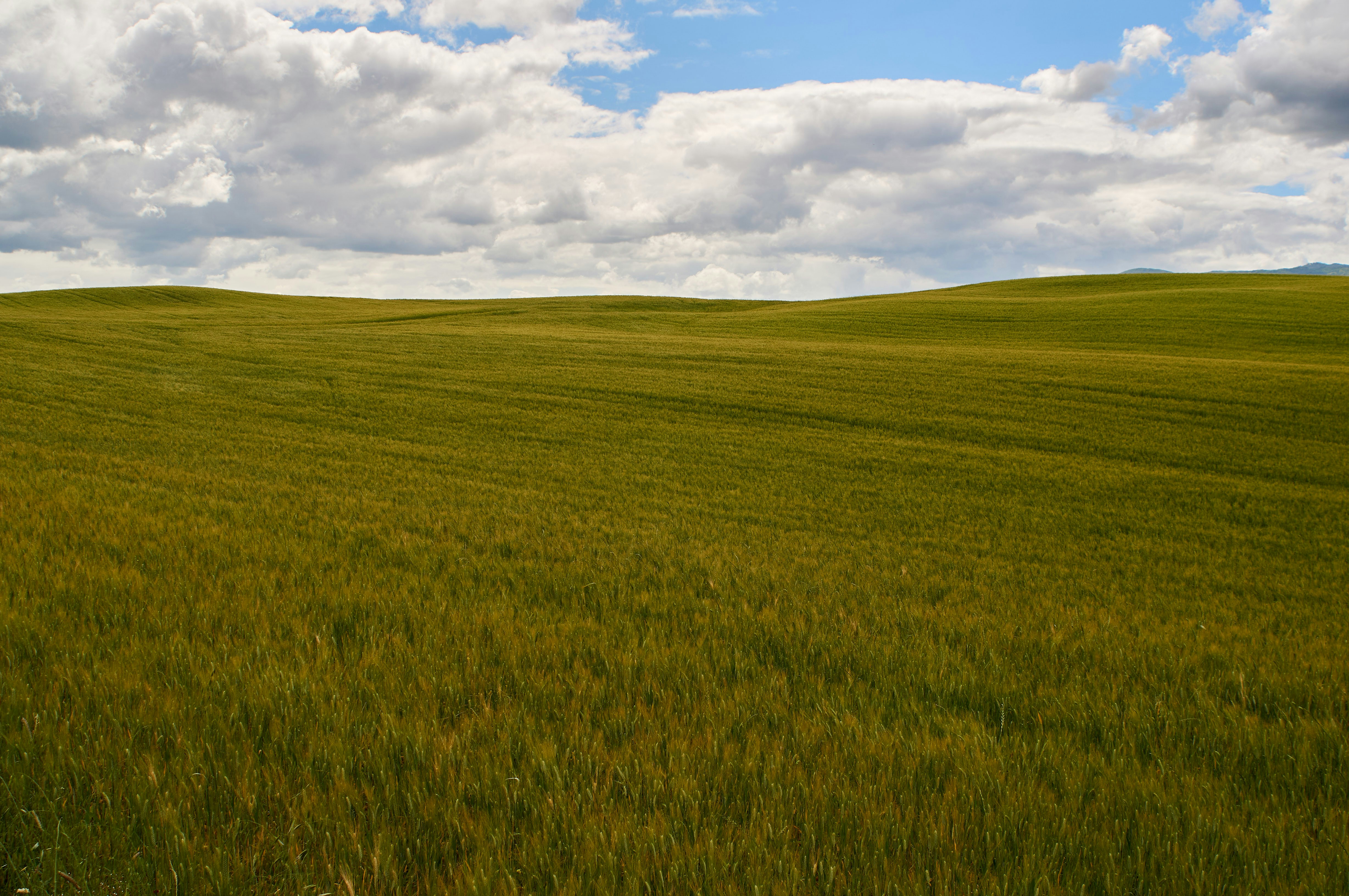 Photo by wolfgang_hasselmann