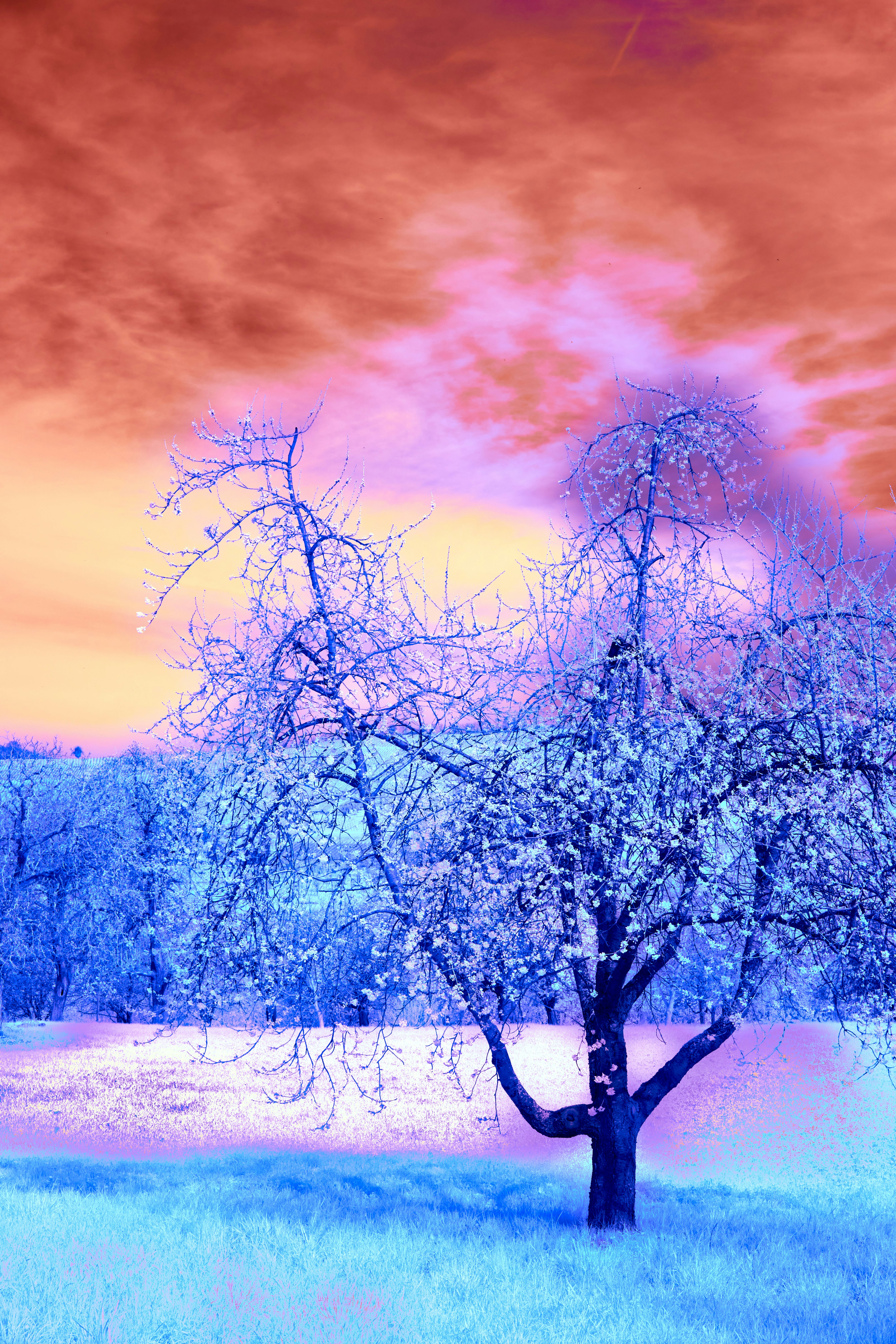 Photo by wolfgang_hasselmann