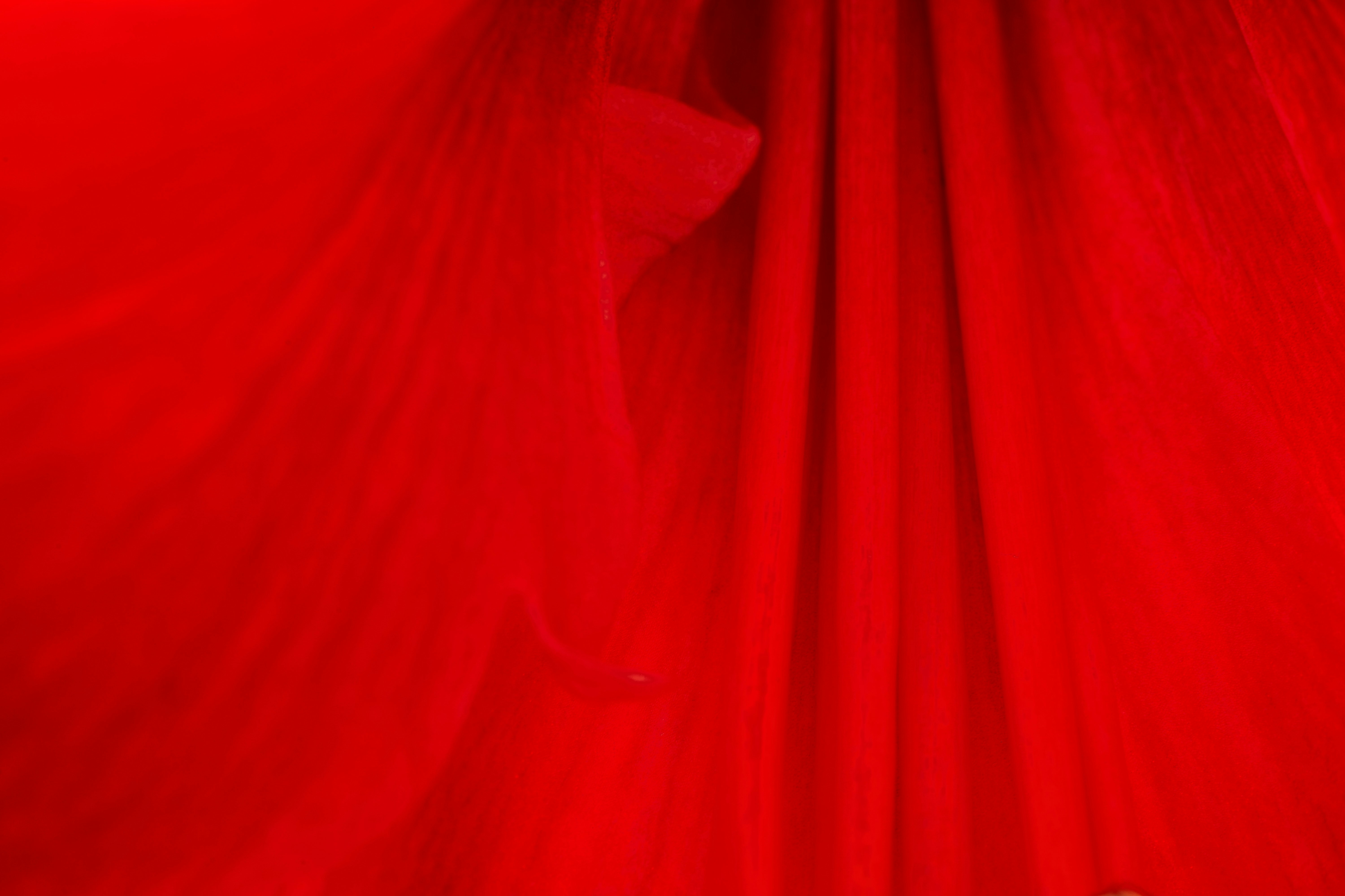 Elegant Handloom Silk