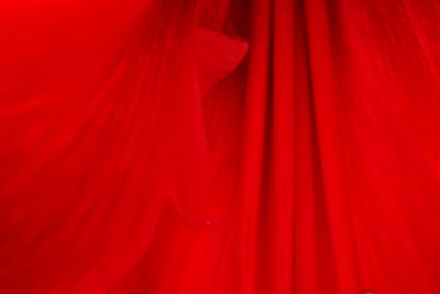 Close-up of a custom red gown fabric texture with intricate detailing and rich wine hues.