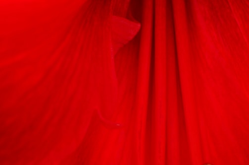 Close-up editorial shot highlighting premium fabric texture in deep red tones.