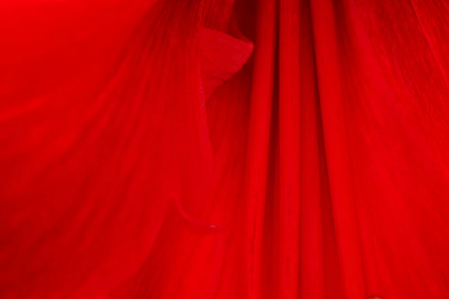 A close-up of rich red fabric texture, highlighting the quality and warmth of the material.