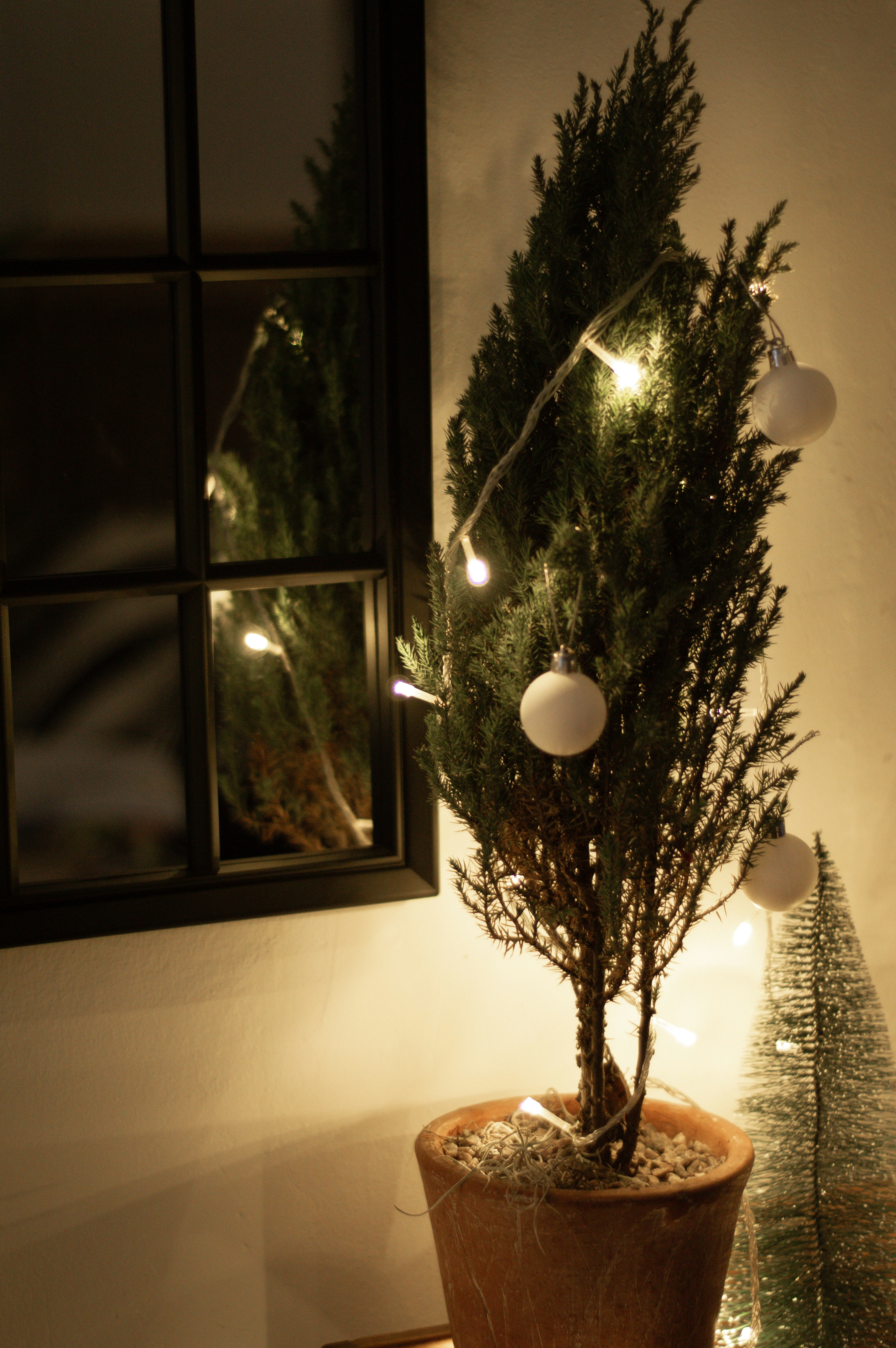 Photo by henniemoller