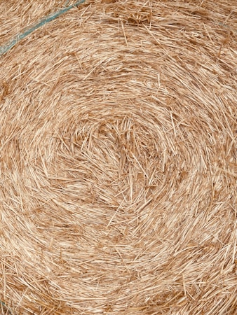 A close-up view of a densely packed, circular hay bale with tightly wound layers of straw. The texture is rigid and fibrous, and the hay is held together with coarse rope or twine.