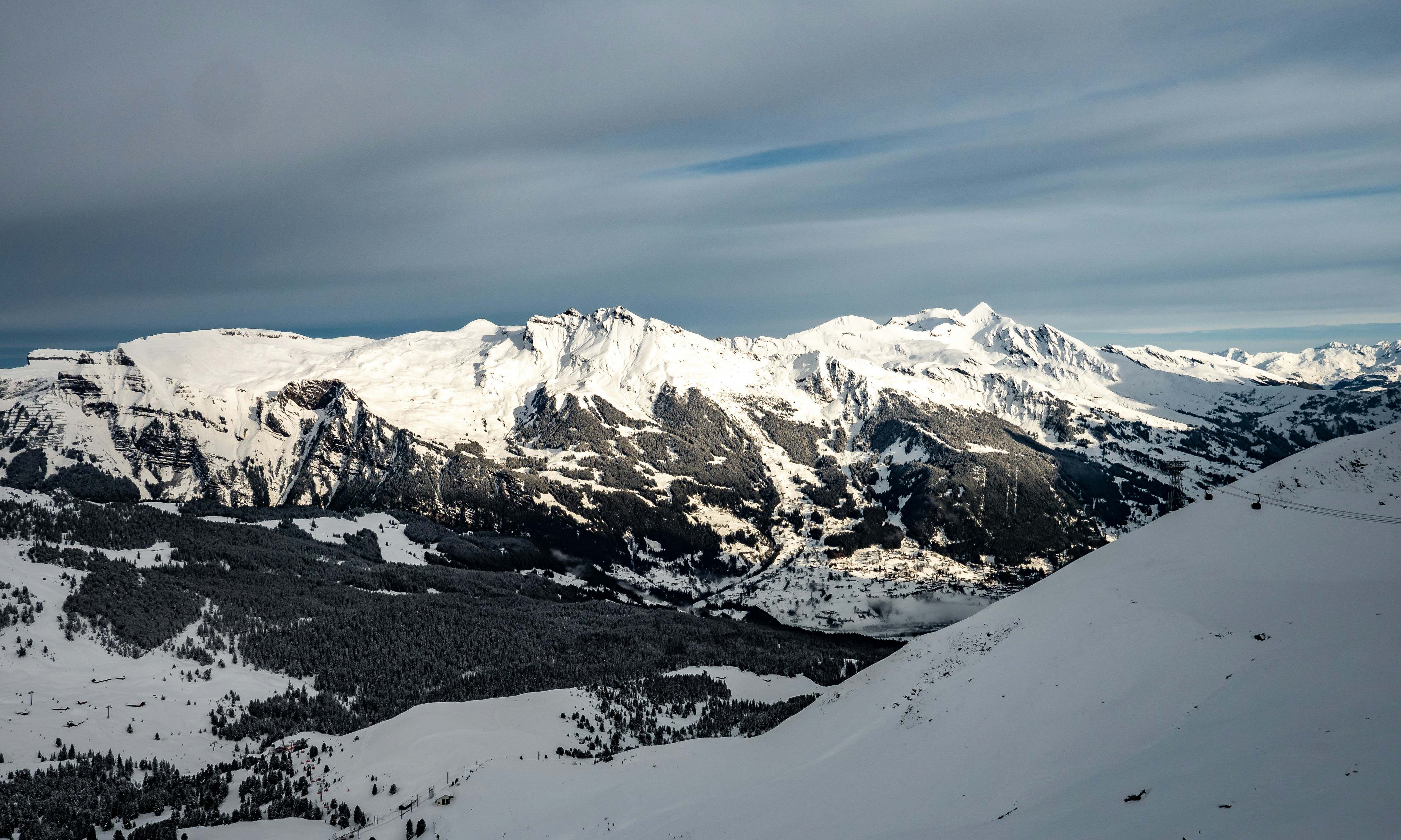 Photo by poli_graphy