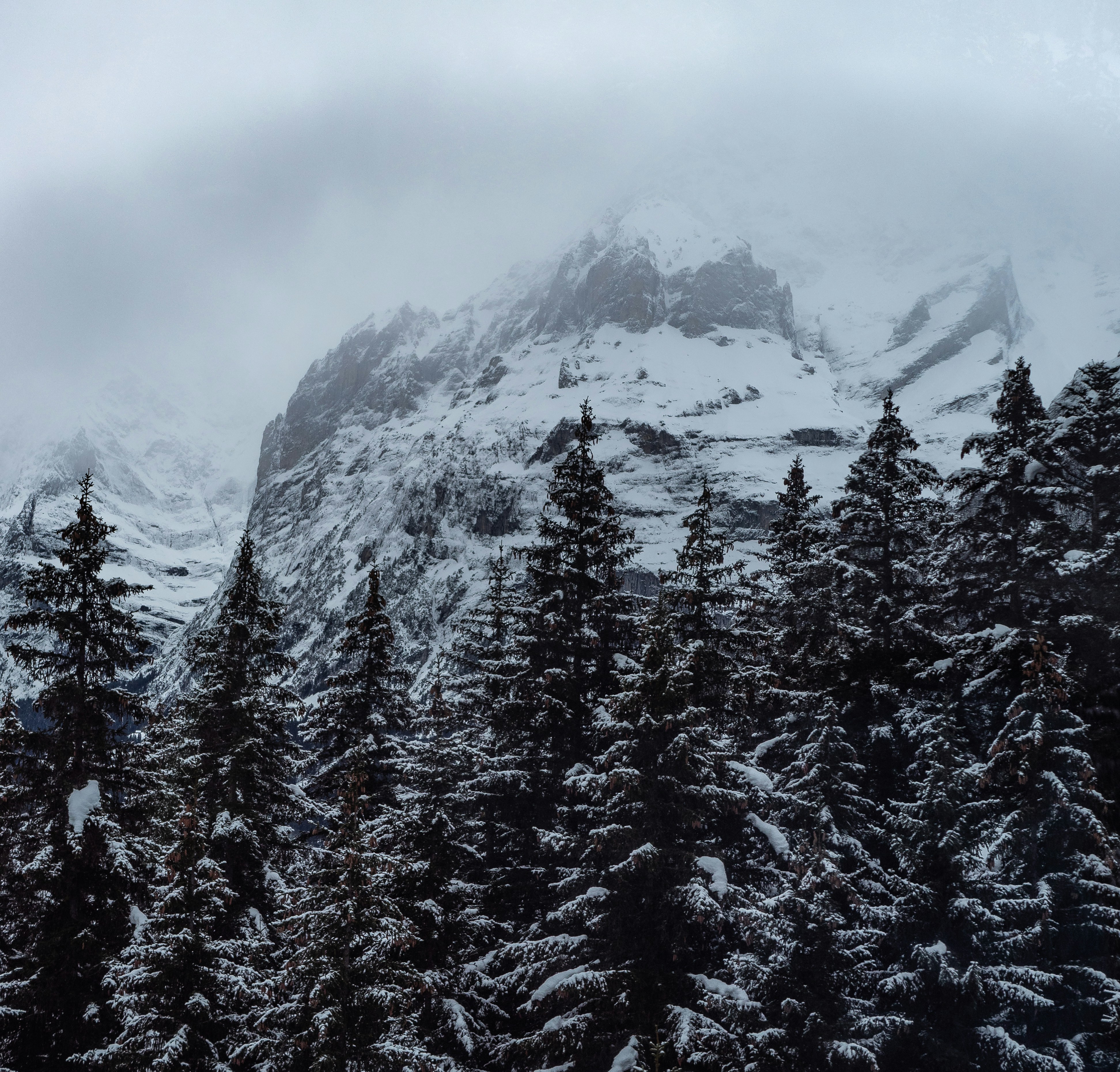 Photo by poli_graphy