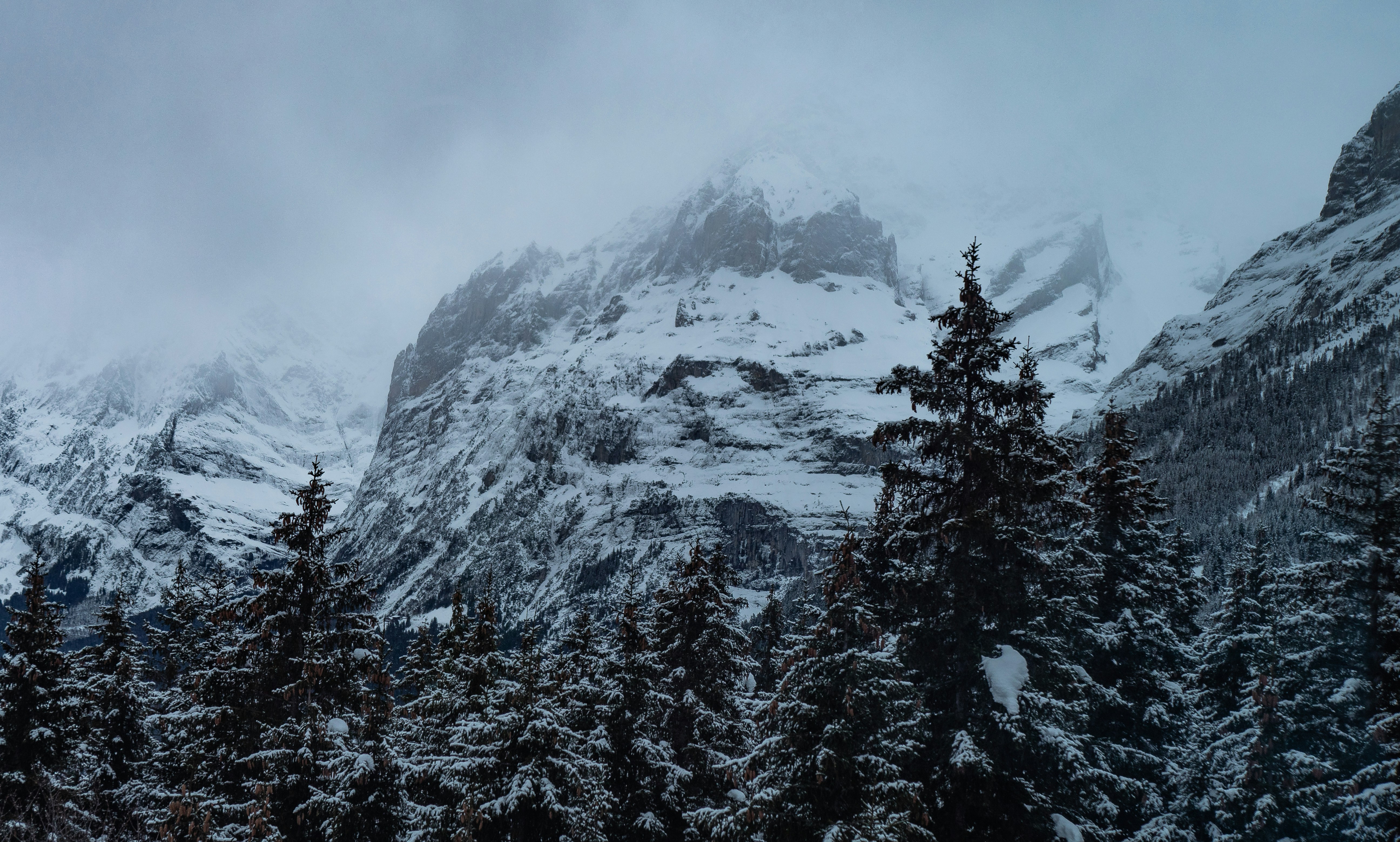 Photo by poli_graphy