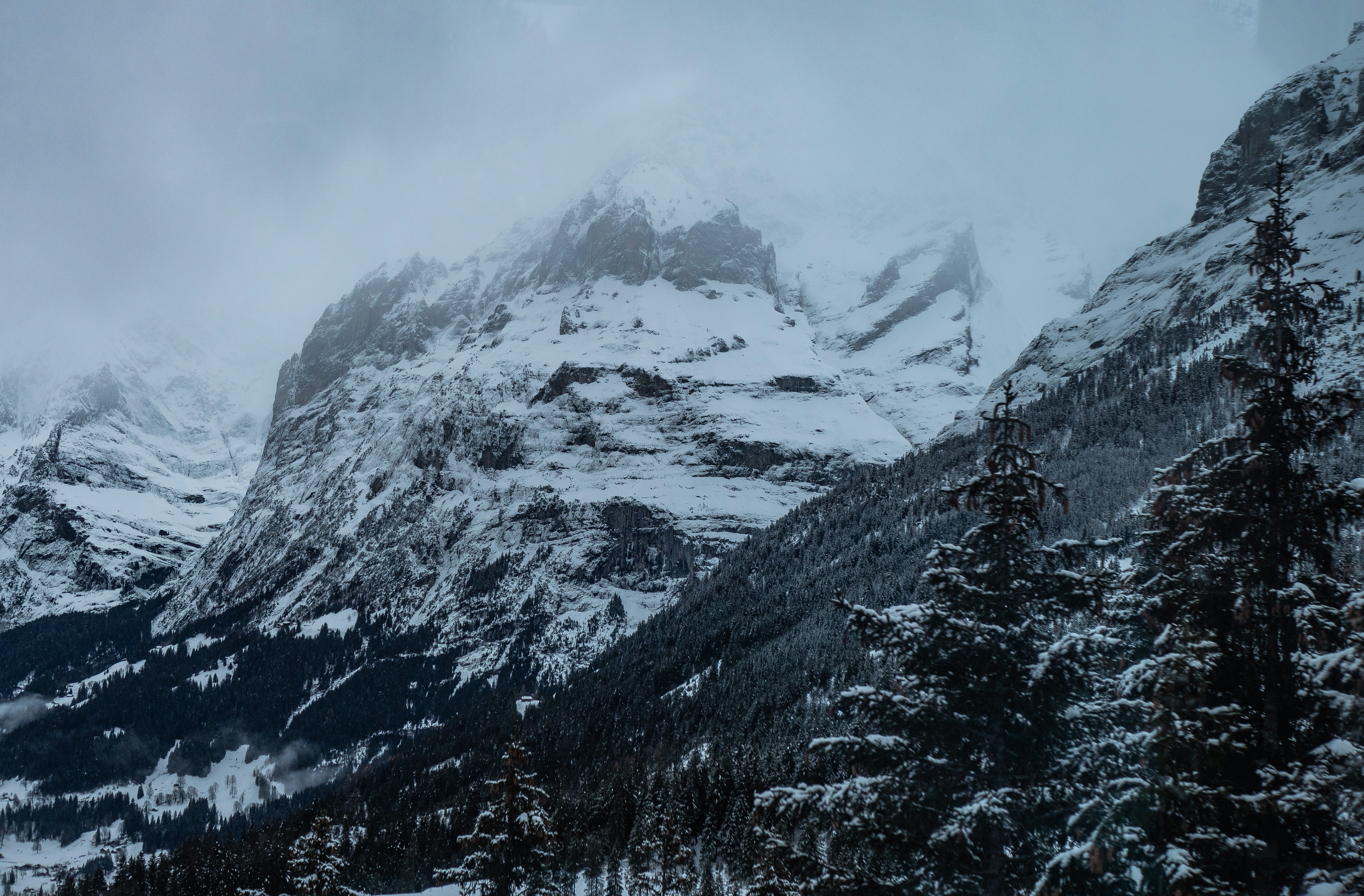 Photo by poli_graphy