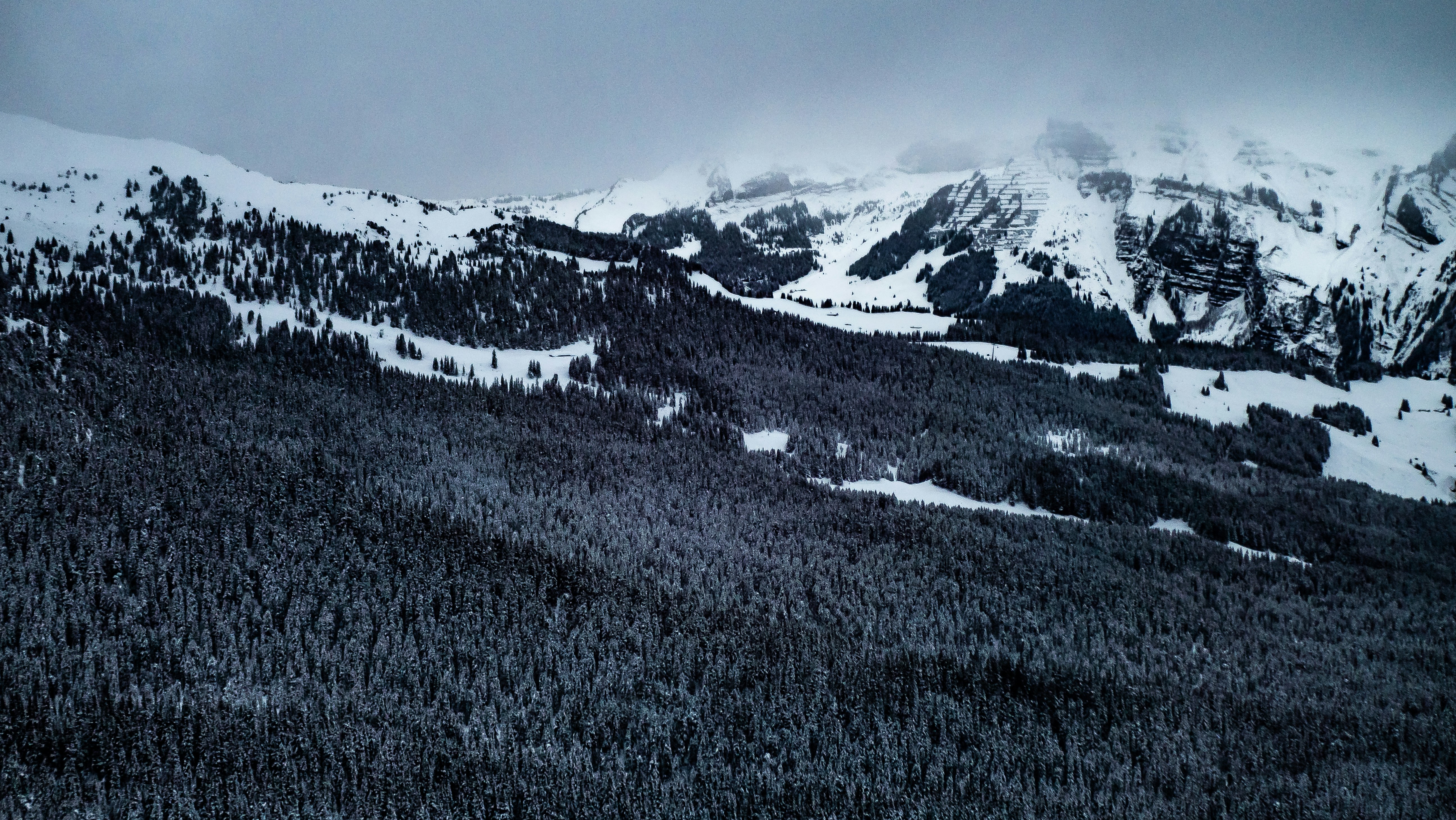 Photo by poli_graphy