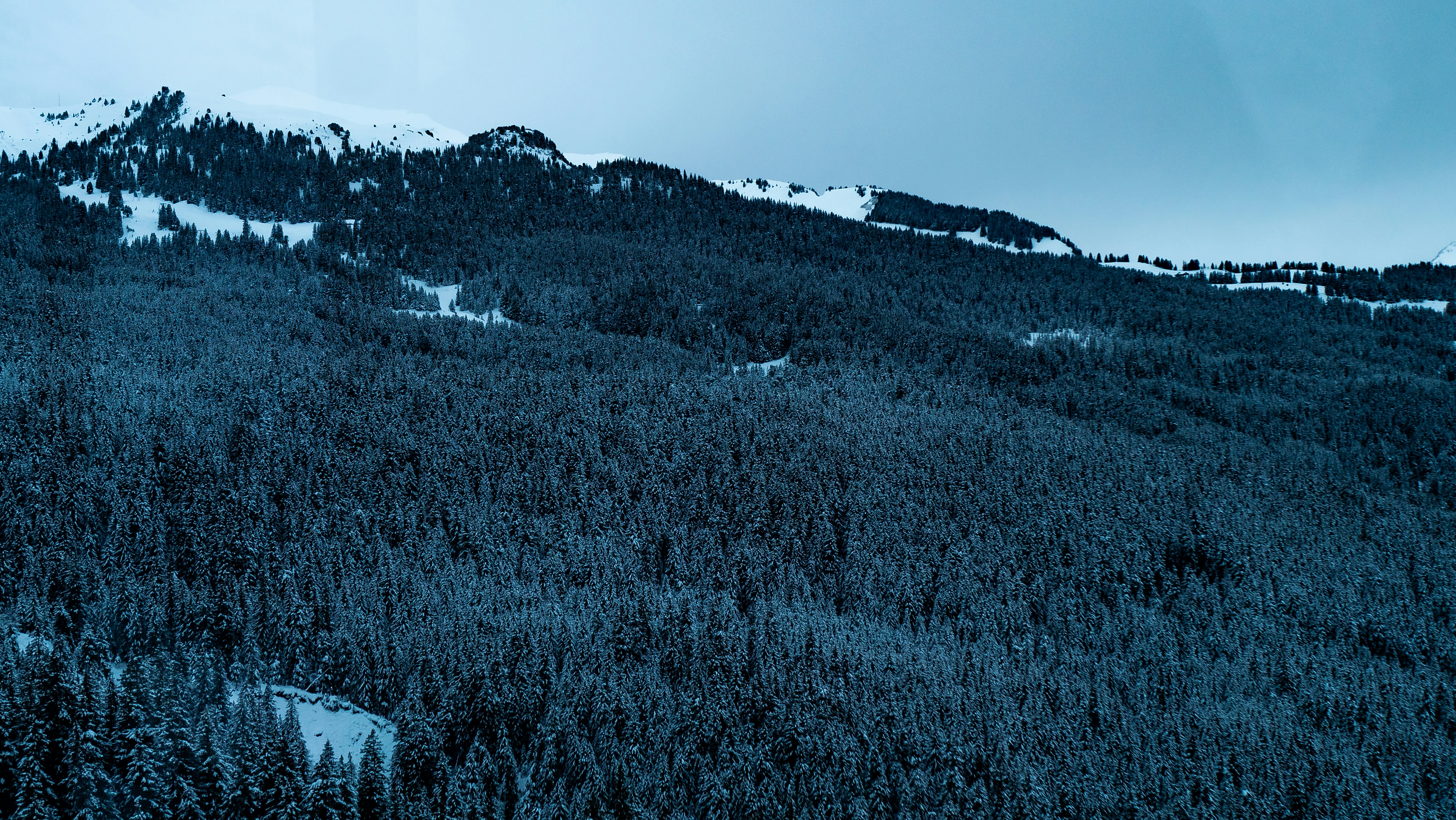 Photo by poli_graphy