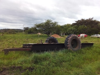 A rural landscape with a large, old, flatbed trailer featuring two prominent tractor tires. The field is lush with green grass and a mix of deciduous trees. In the background, there's a white horse grazing and a red car parked nearby. A pile of dirt or sand is also visible under a cloudy sky.