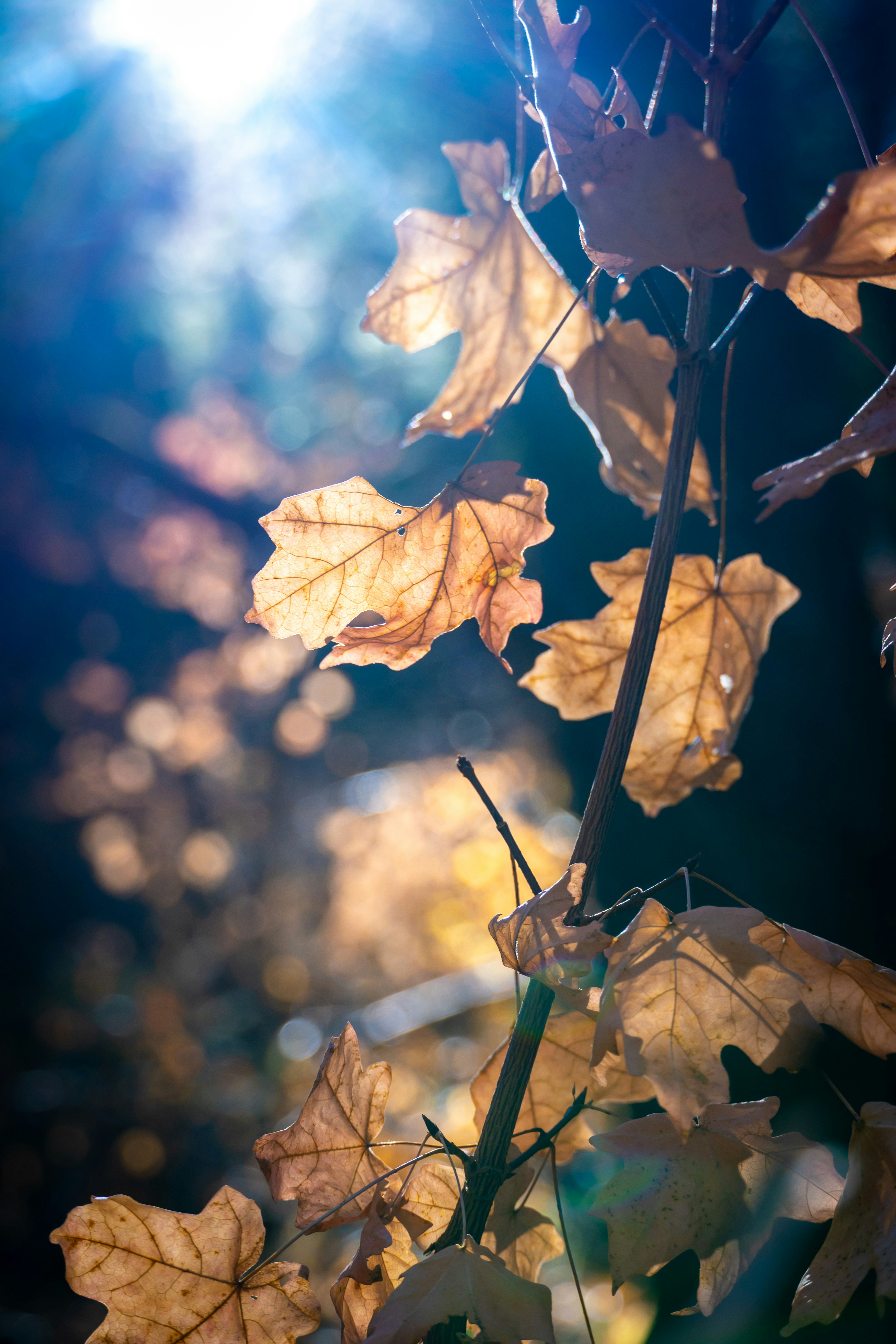 Photo by jcnonstop87