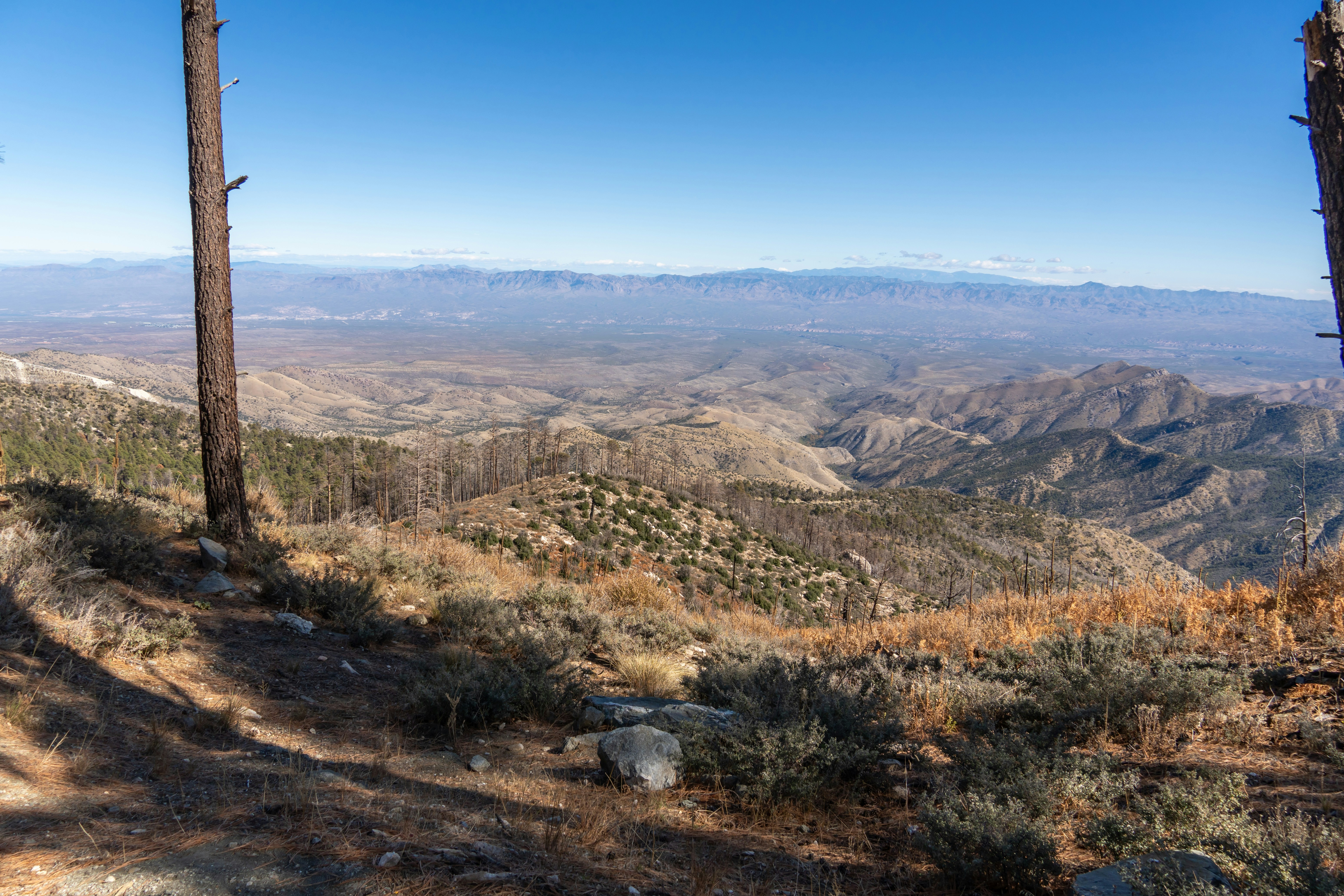 Photo by jcnonstop87