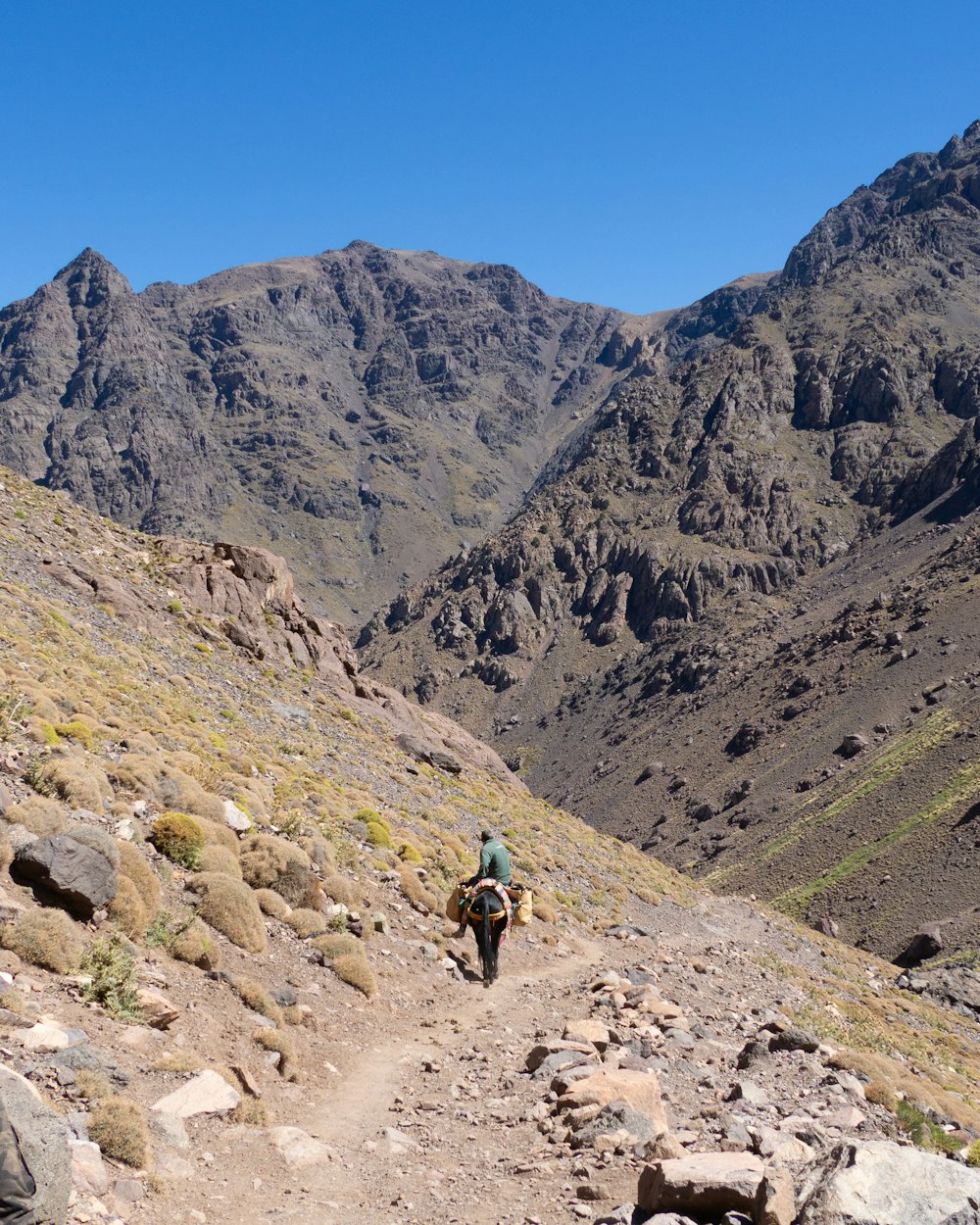 a person riding a horse on a rocky trail