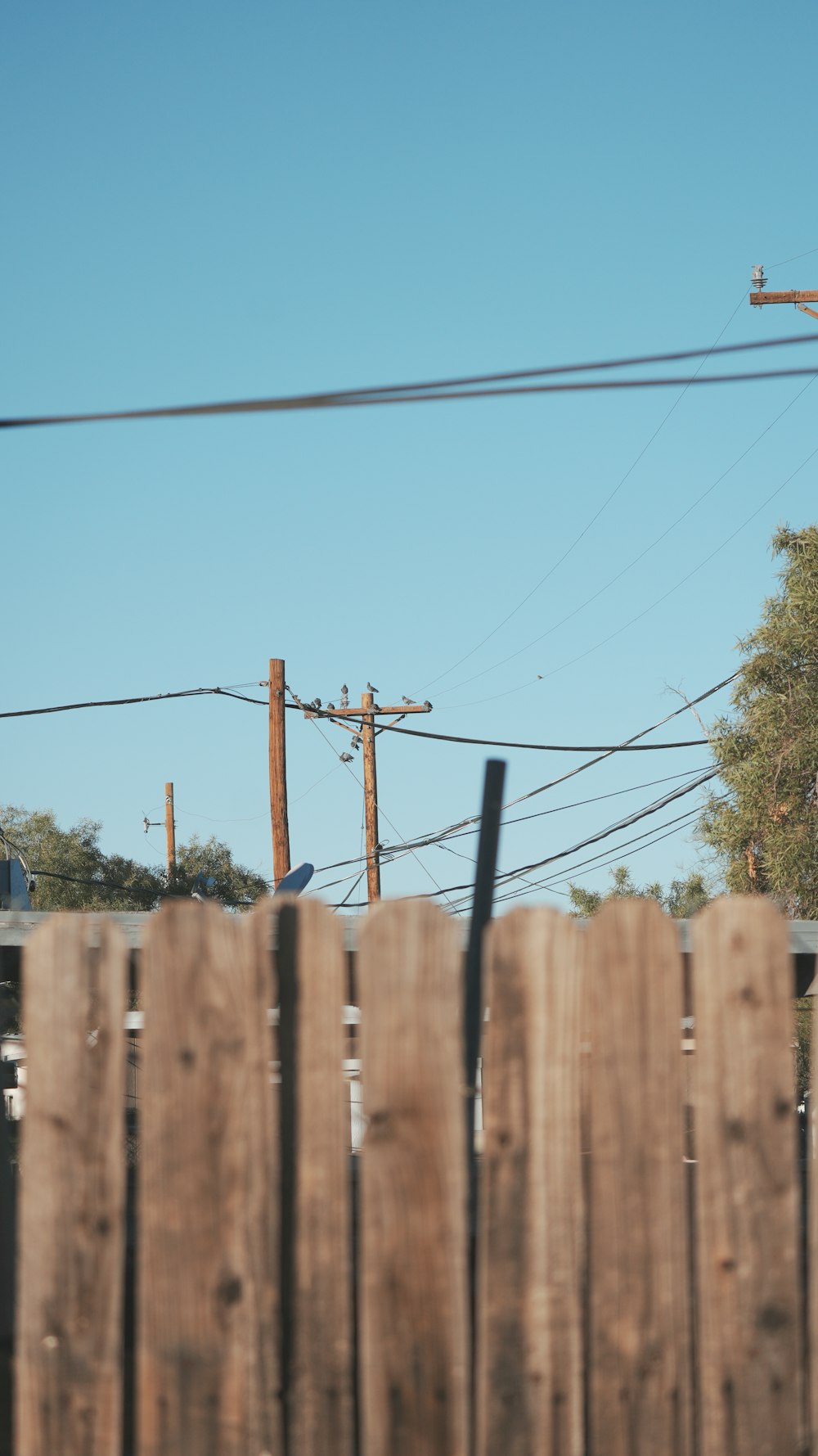 a wooden fence with power lines in the background