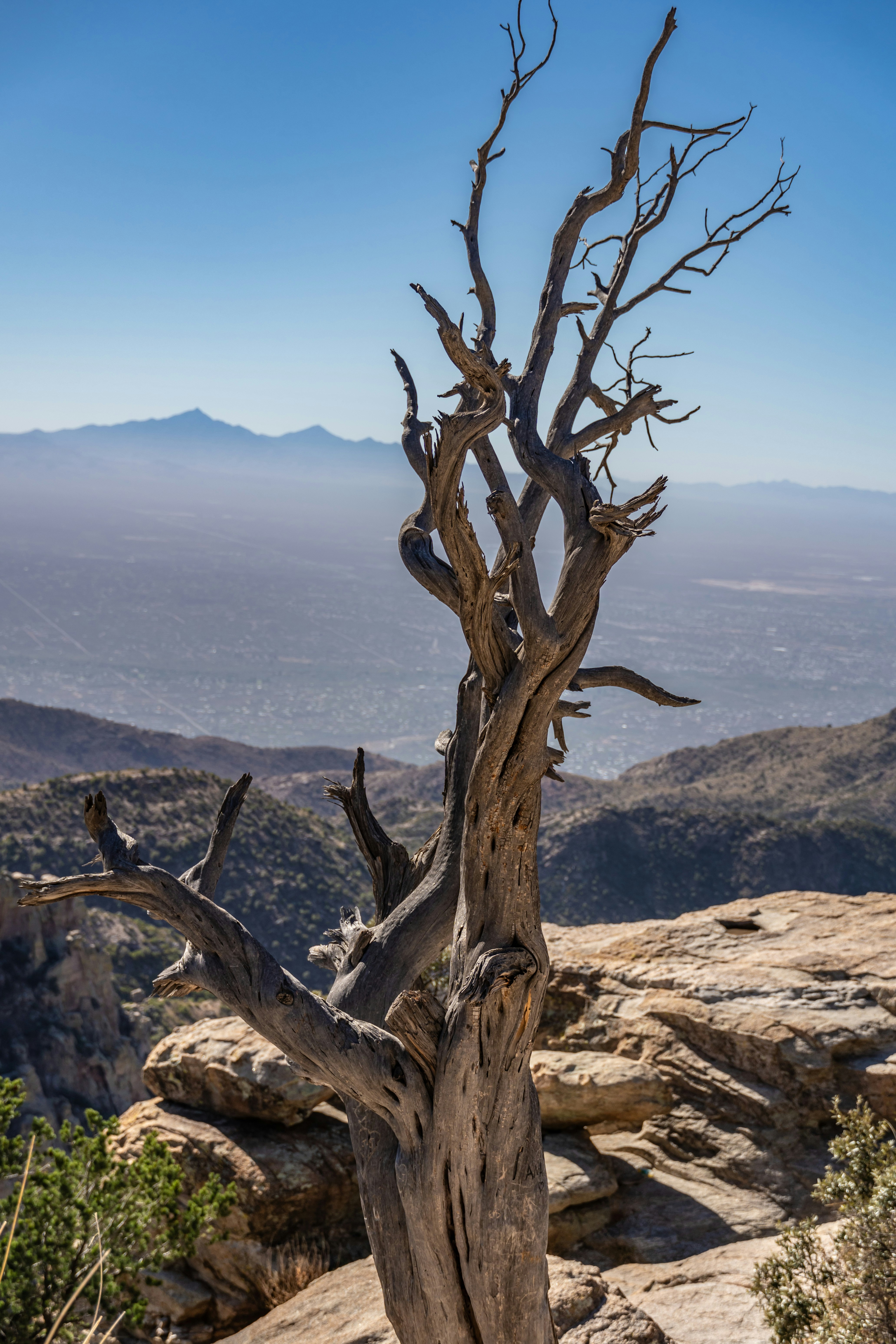 Photo by jcnonstop87