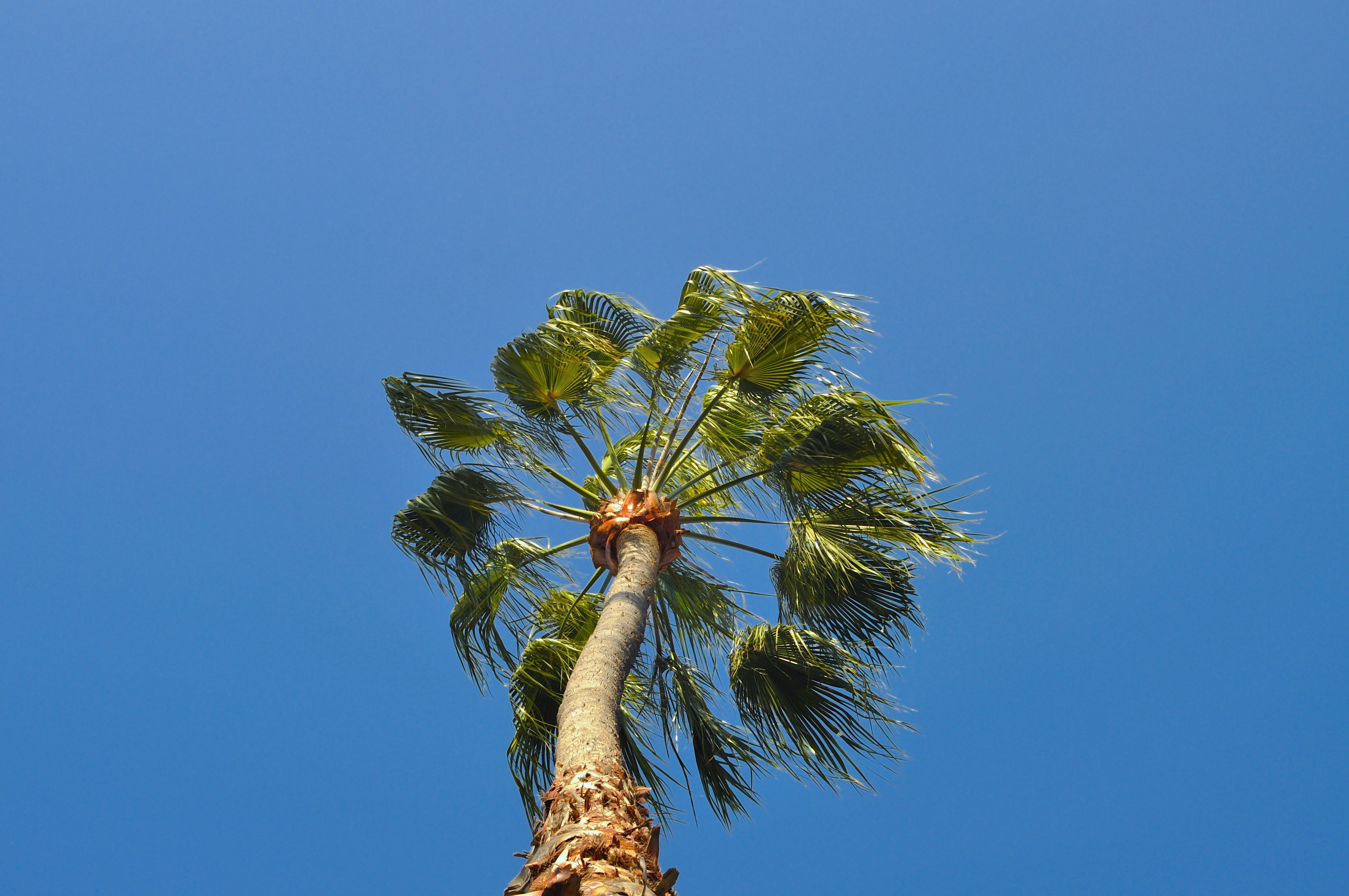 Photo by rainporches