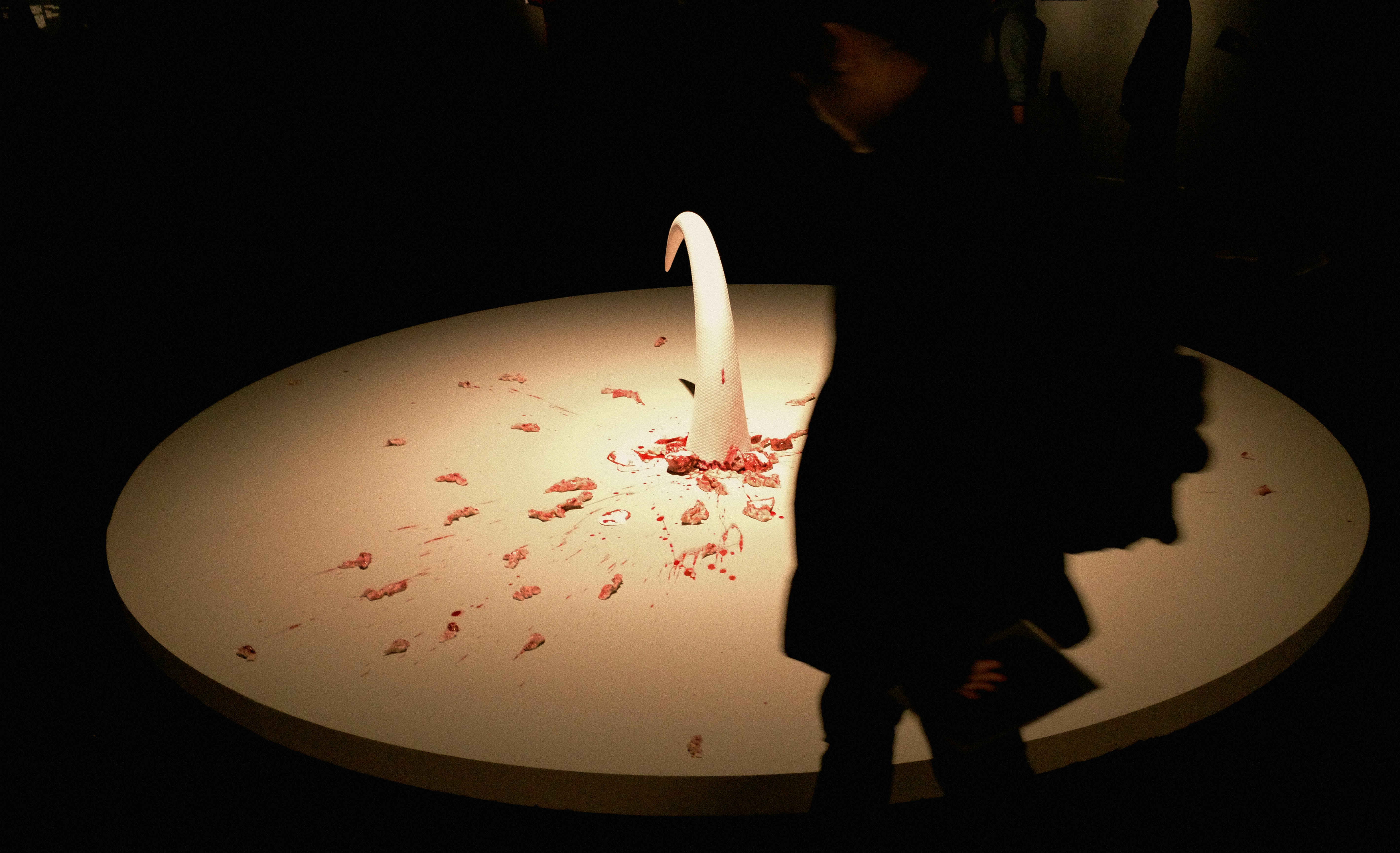 a person standing in front of a table with blood on it