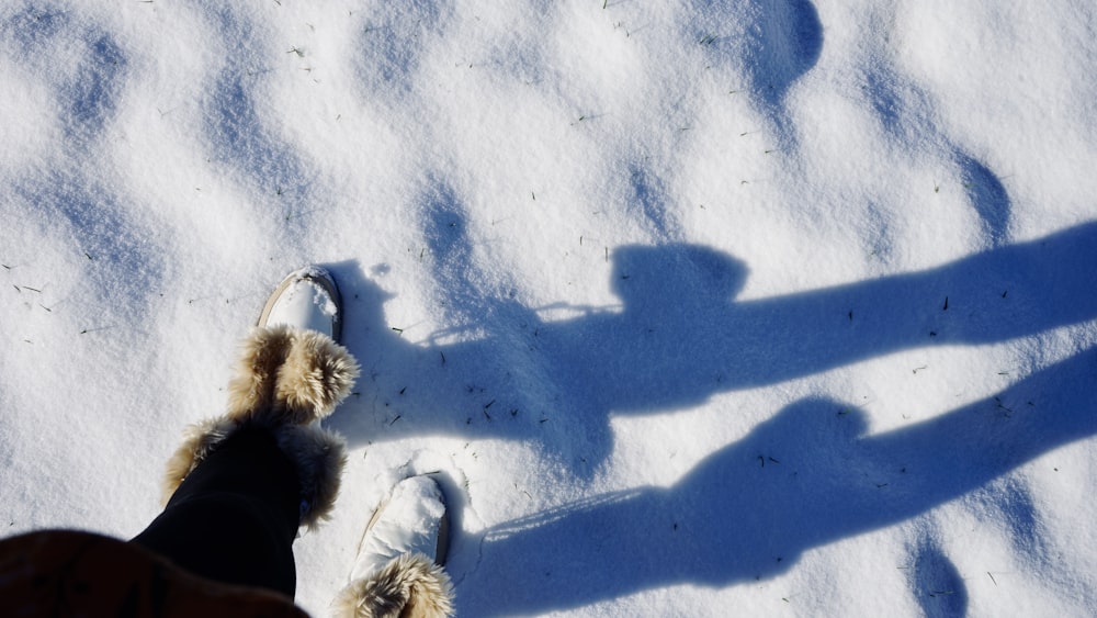 a shadow of a person standing in the snow