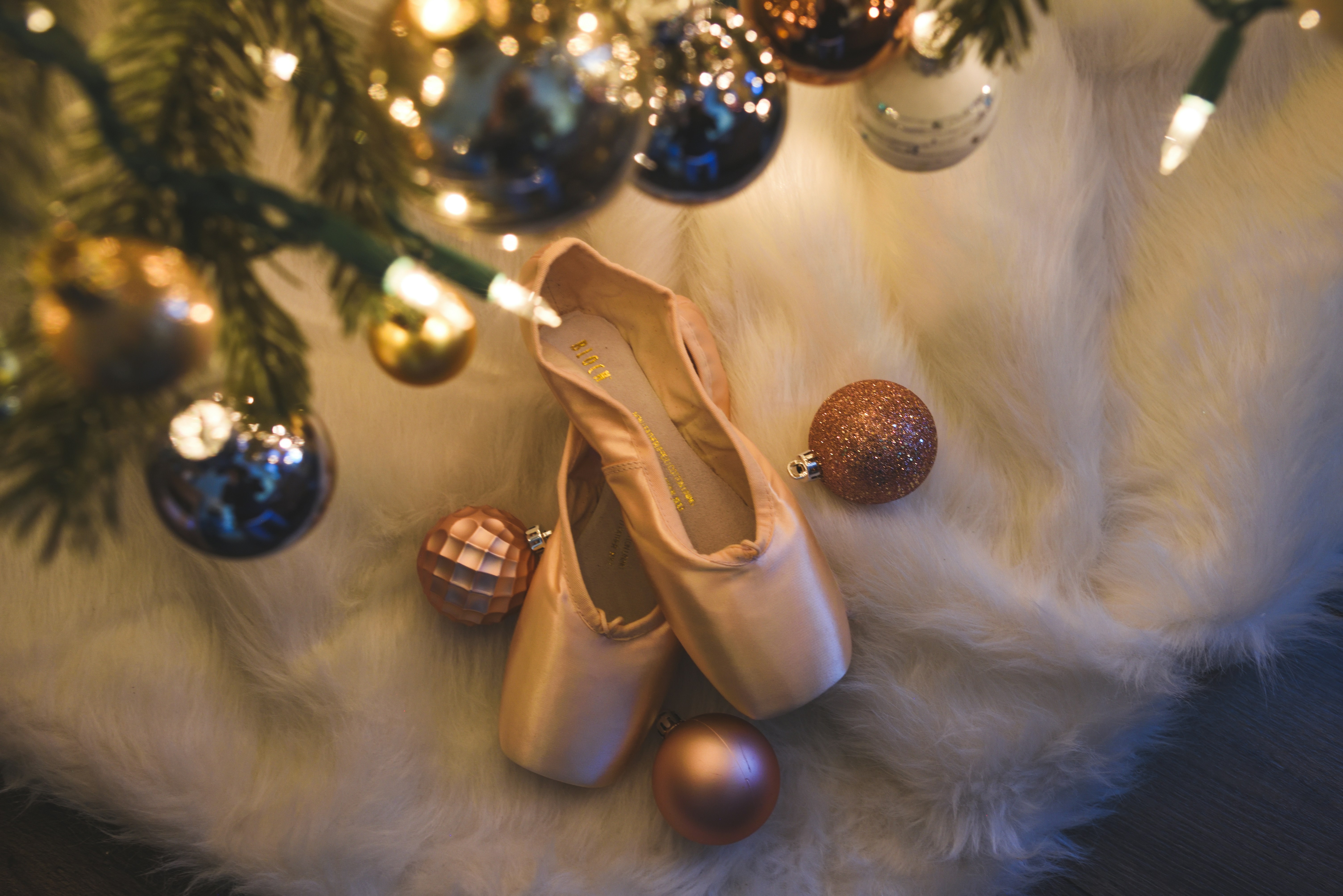 a pair of ballet shoes sitting on top of a fur covered floor