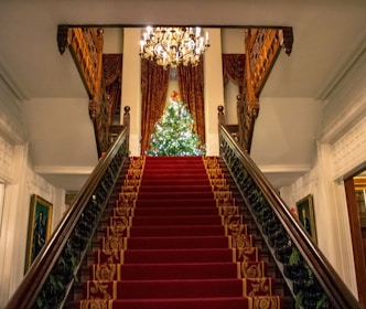 A grand staircase with rich red carpeting and ornate wooden railings leads up to a large, decorated Christmas tree brightly lit with golden lights. Elegant chandeliers hang from the ceiling, and the walls are adorned with art pieces. The scene captures a festive and opulent interior, setting a warm and luxurious holiday atmosphere.