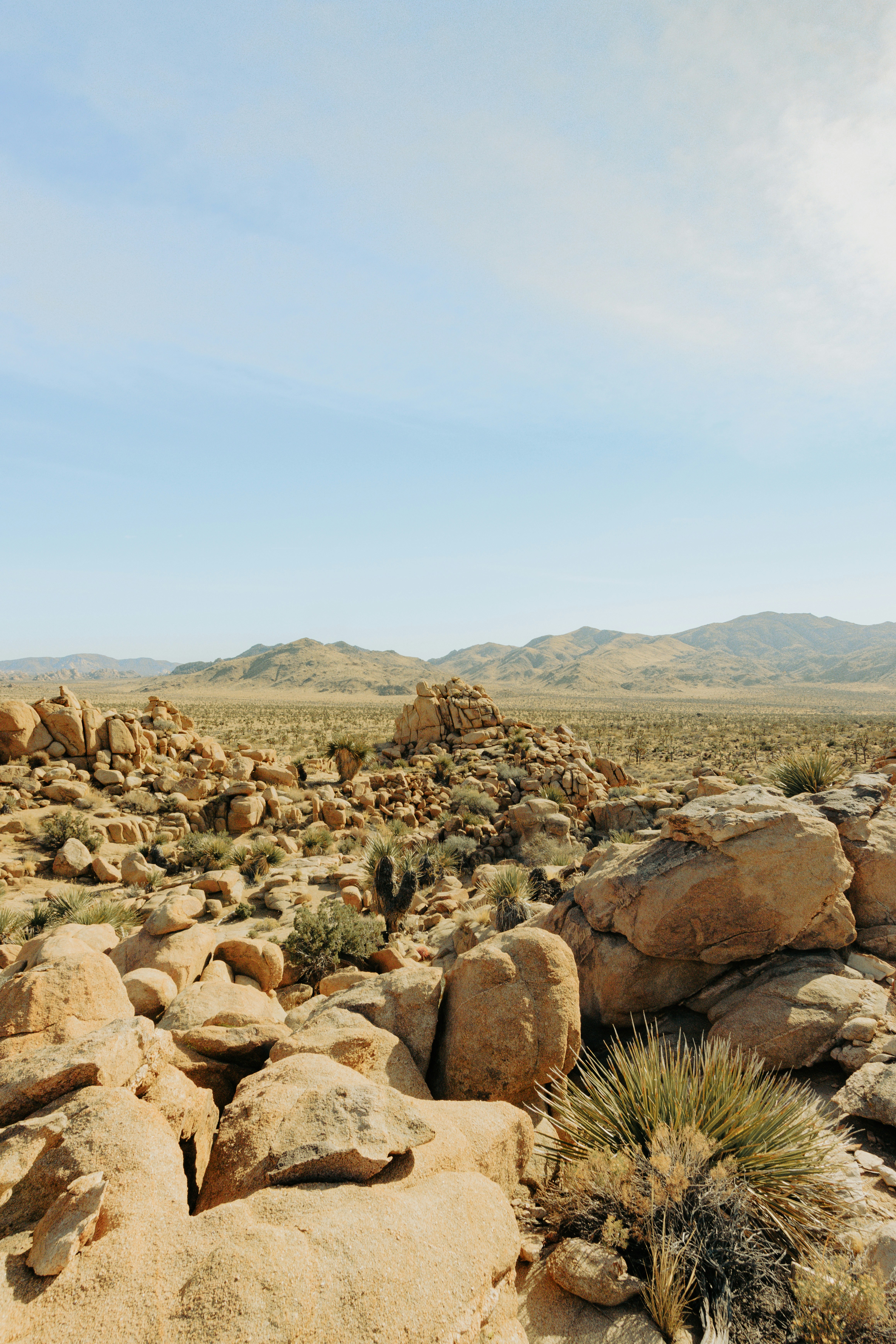 Photo by parkerdesignsss