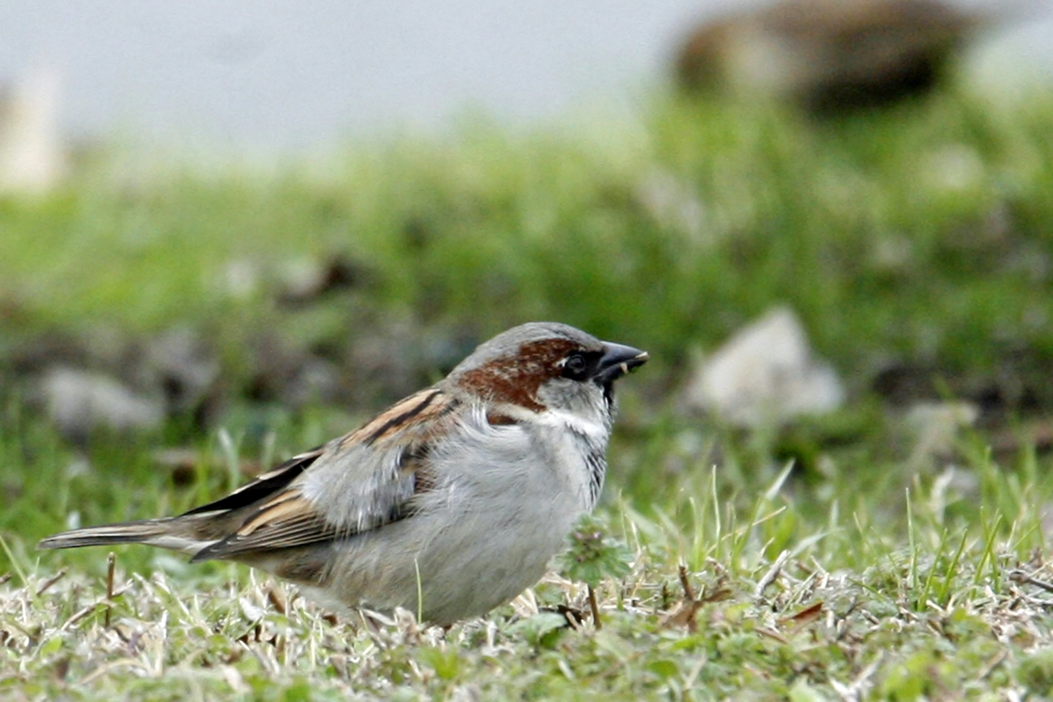 Photo by seth_the_linux_nut