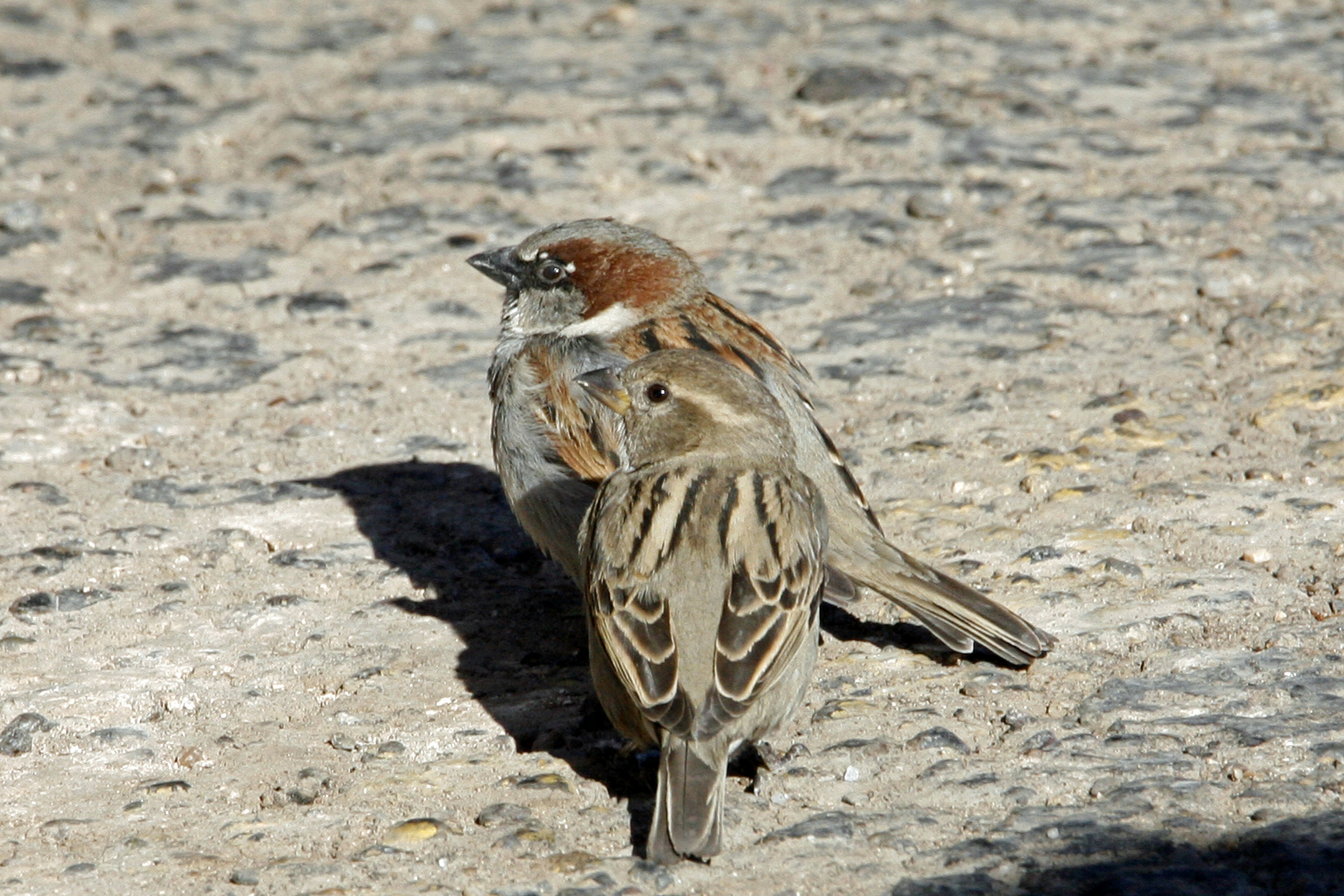 Photo by seth_the_linux_nut