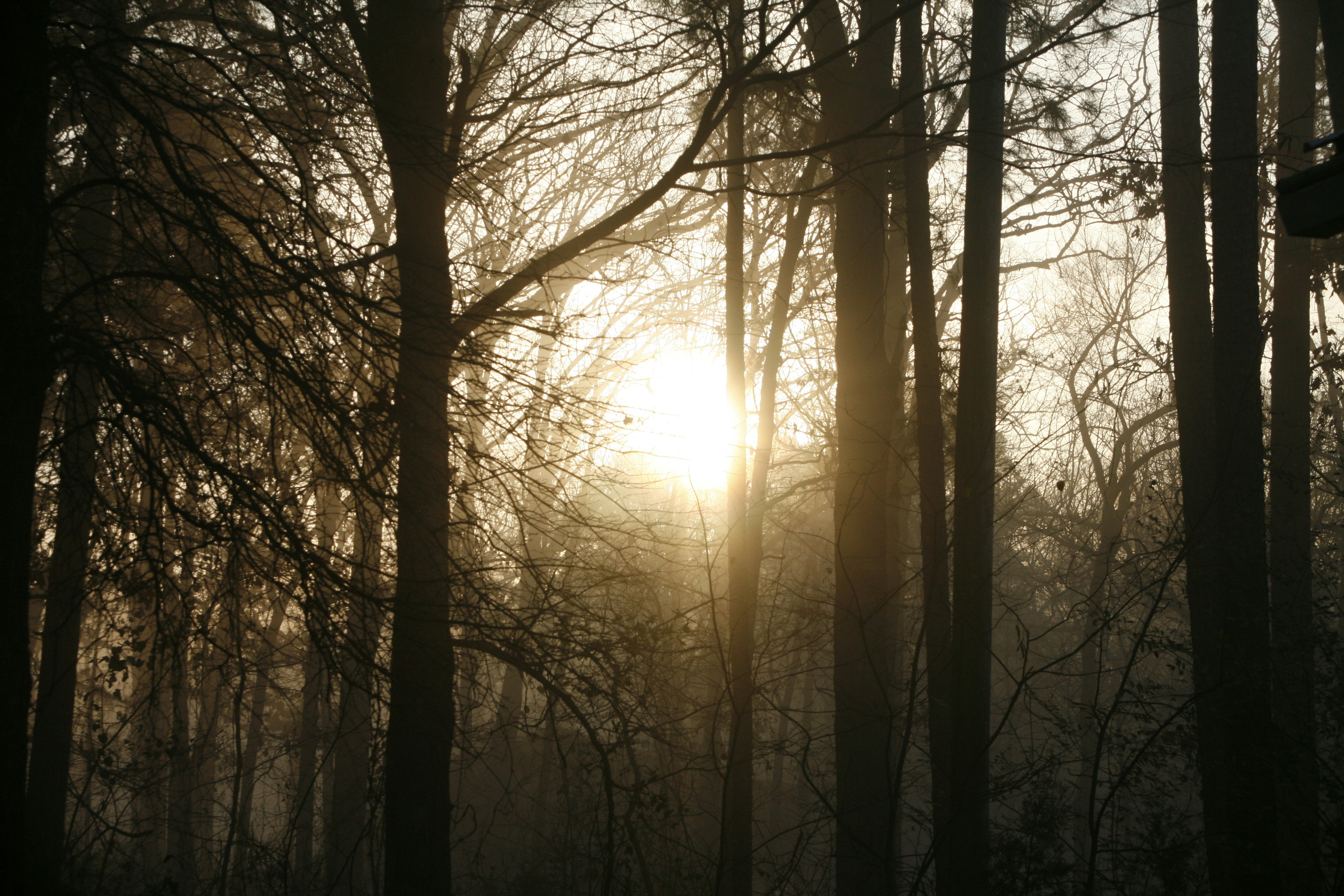 Photo by seth_the_linux_nut