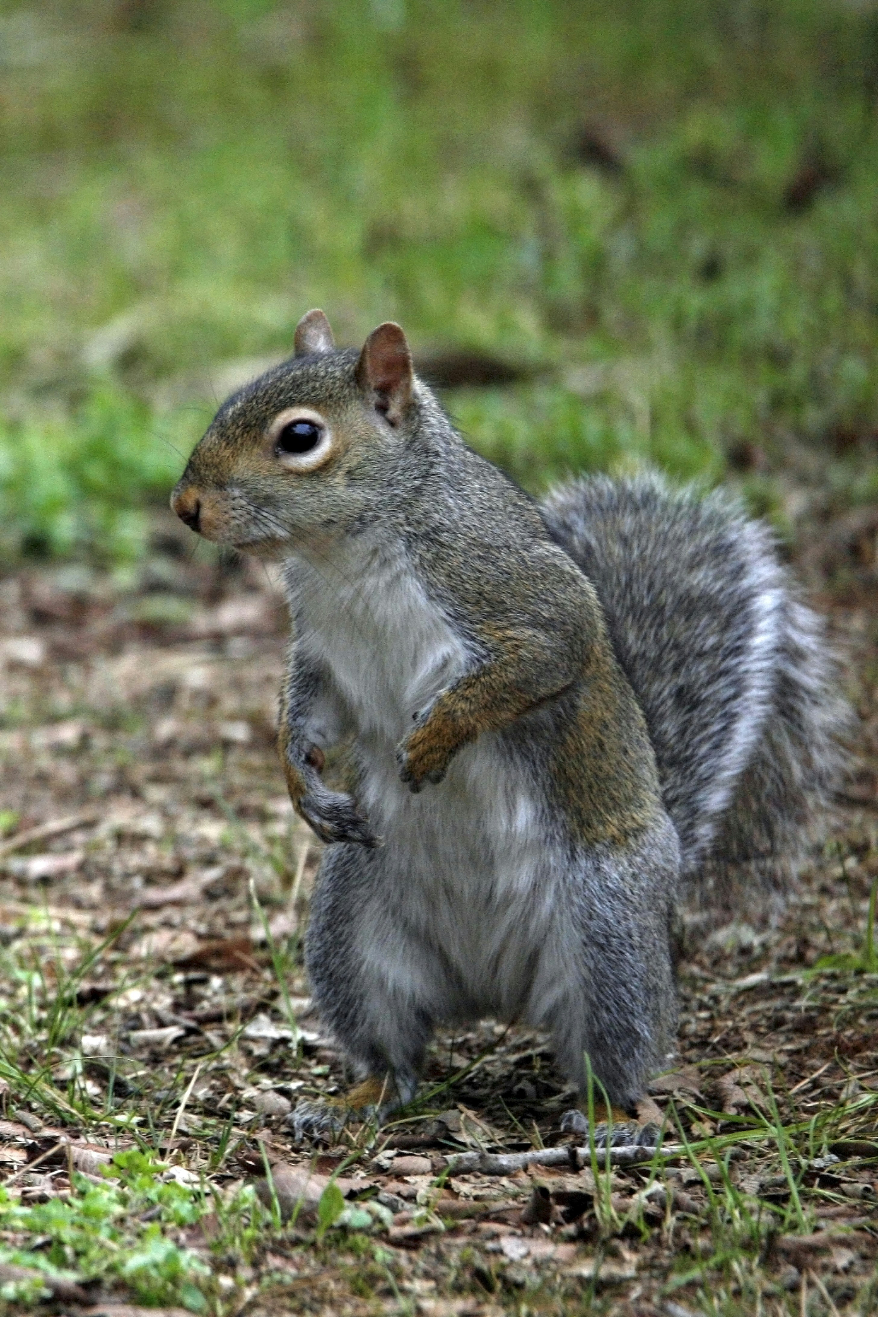 Photo by seth_the_linux_nut